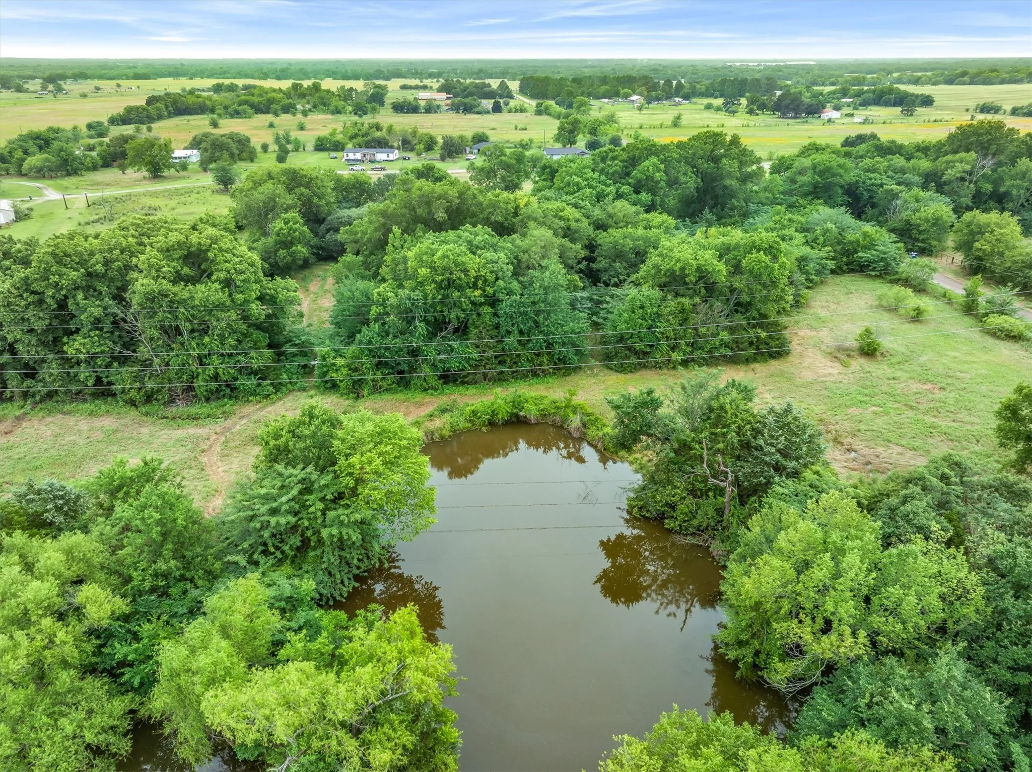 Natural pond