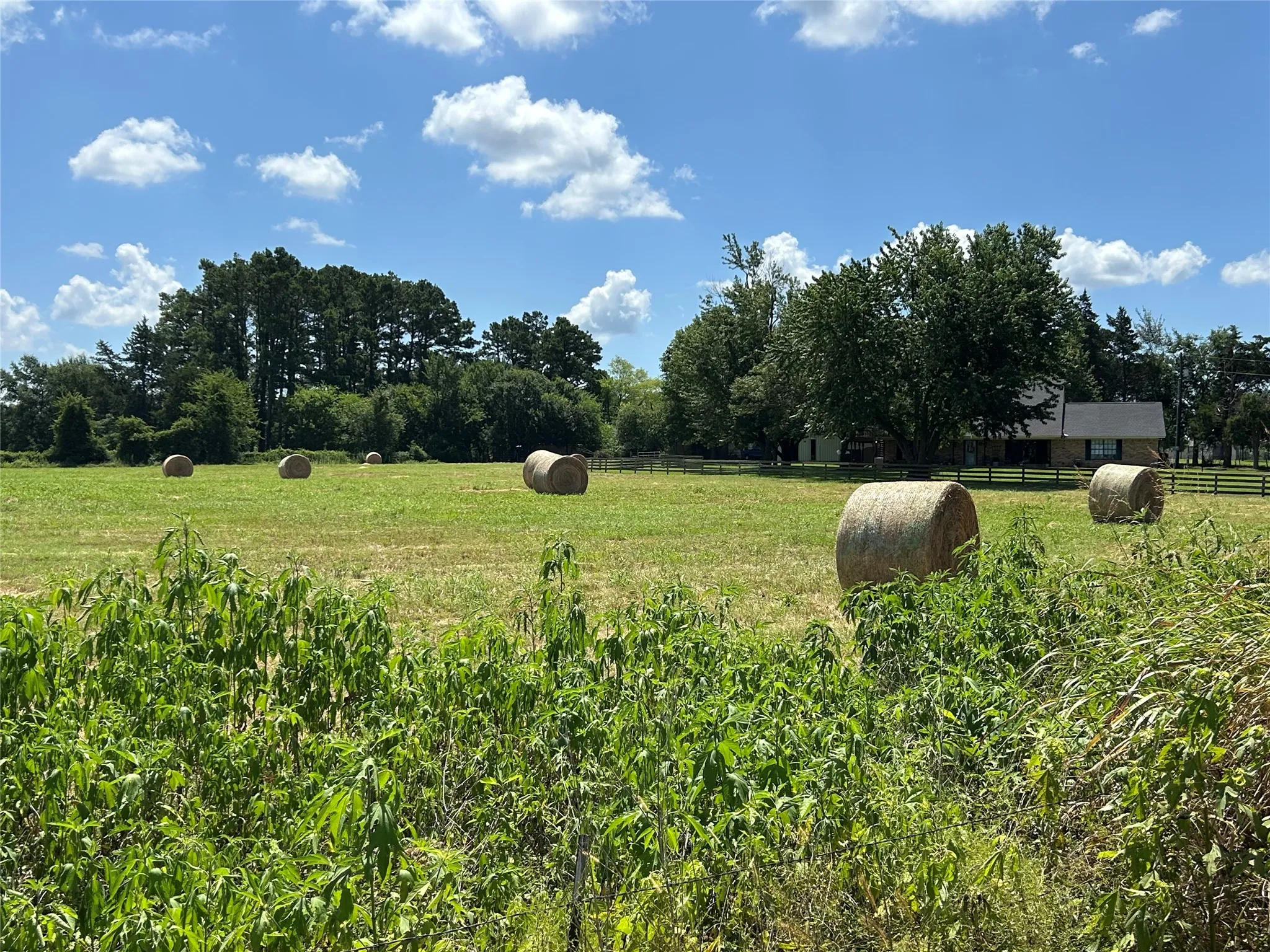 Hay bales
