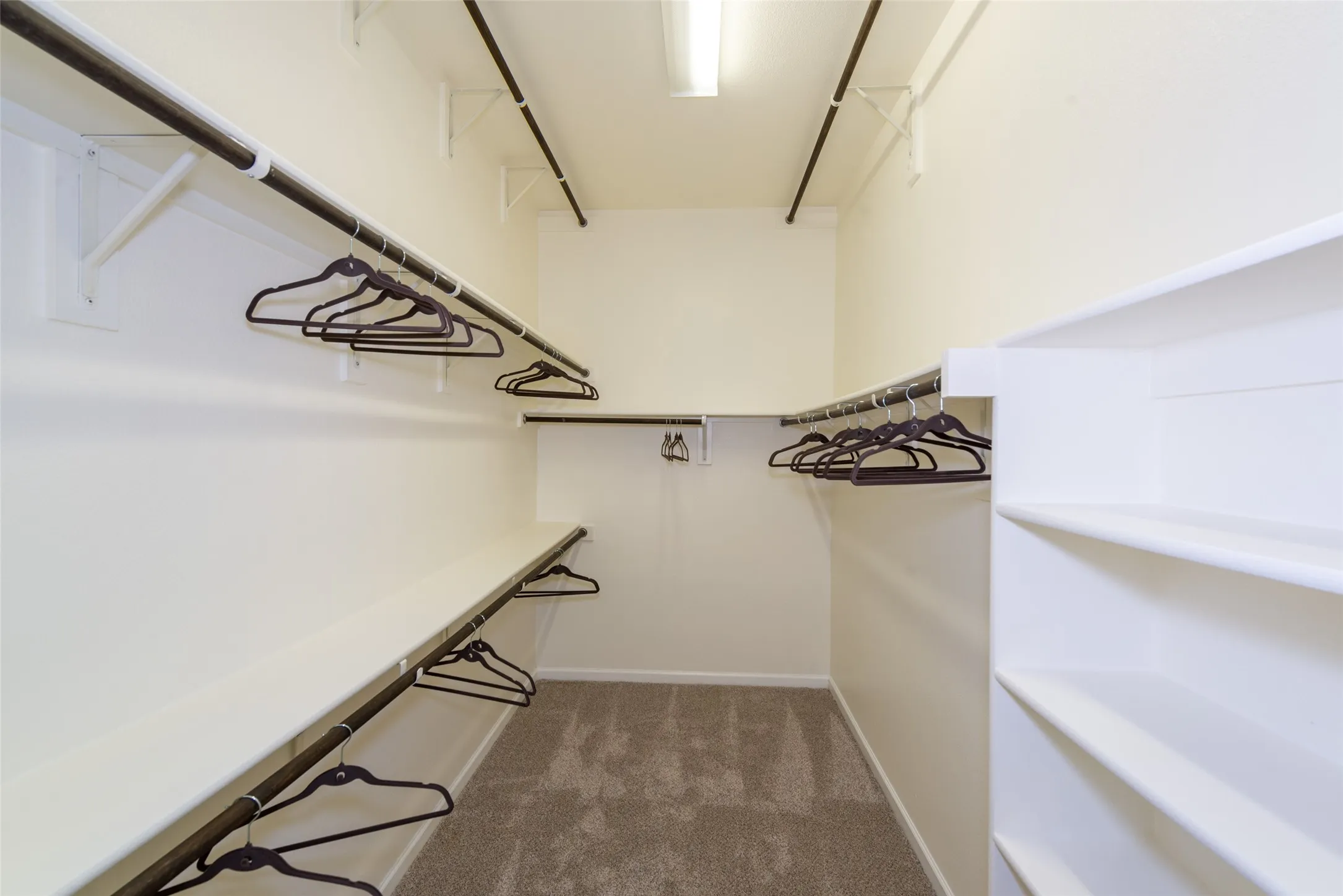 Walk-in closet with carpet flooring, multiple hanging rods, and built-in shelving​​‌​​​​‌​​‌‌​‌‌​​​‌‌​‌​‌​‌​​​‌​​ units
