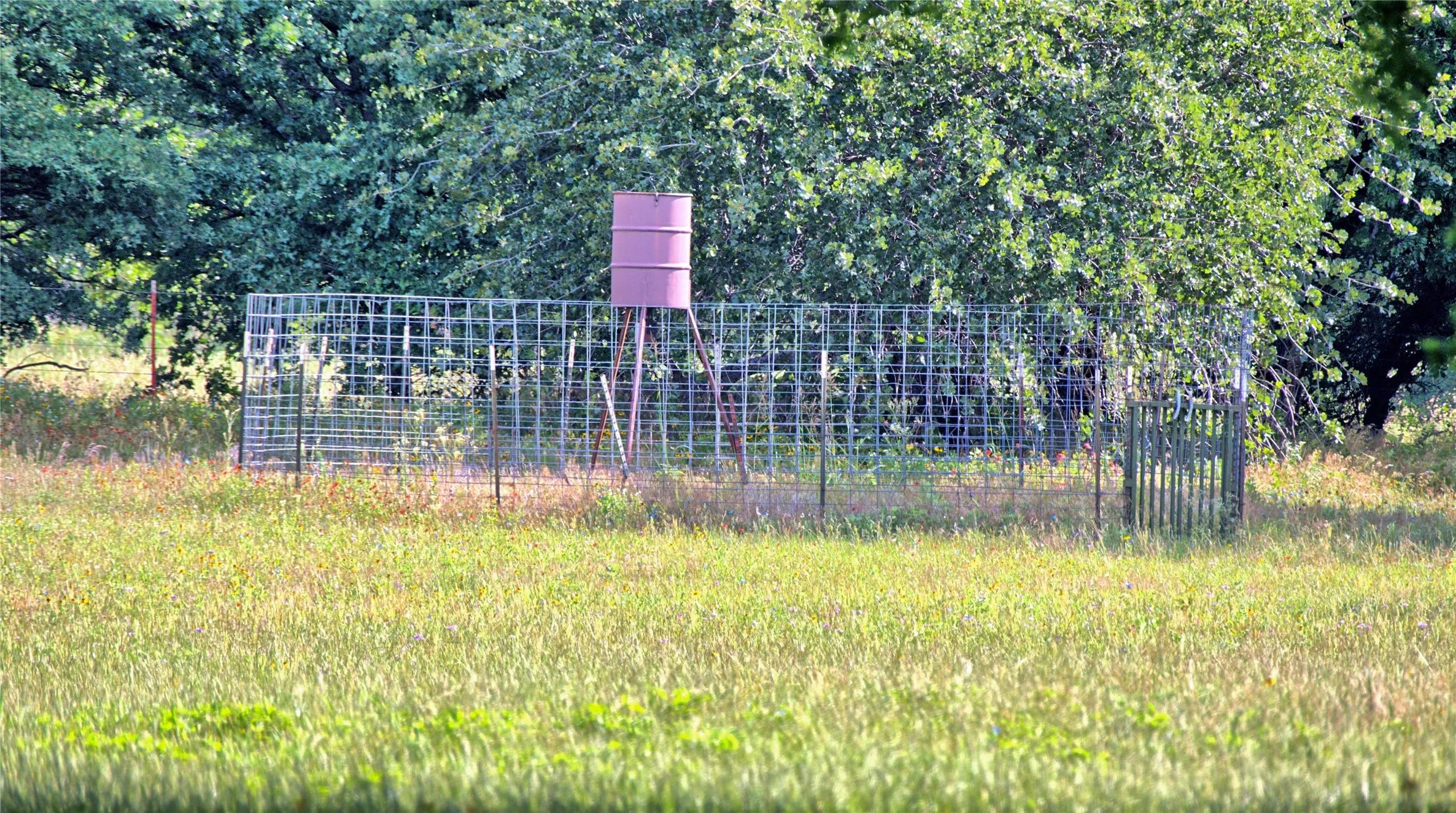 Improved Land For Sale in Montague County , 16194 FM 1816, Nocona, Texas 76255, 0, 0, Garage spaces, 0 Sqft, built in 0, Price $1,300,000, mls#21294029, Real Estate Agent in Nocona, Homes For Sale in Montague county, Homes For Sale in Nocona, Realtor in Nocona Texas, Real Estate Brokerage Independent Realty Texas, Luminita Cordes Realtor