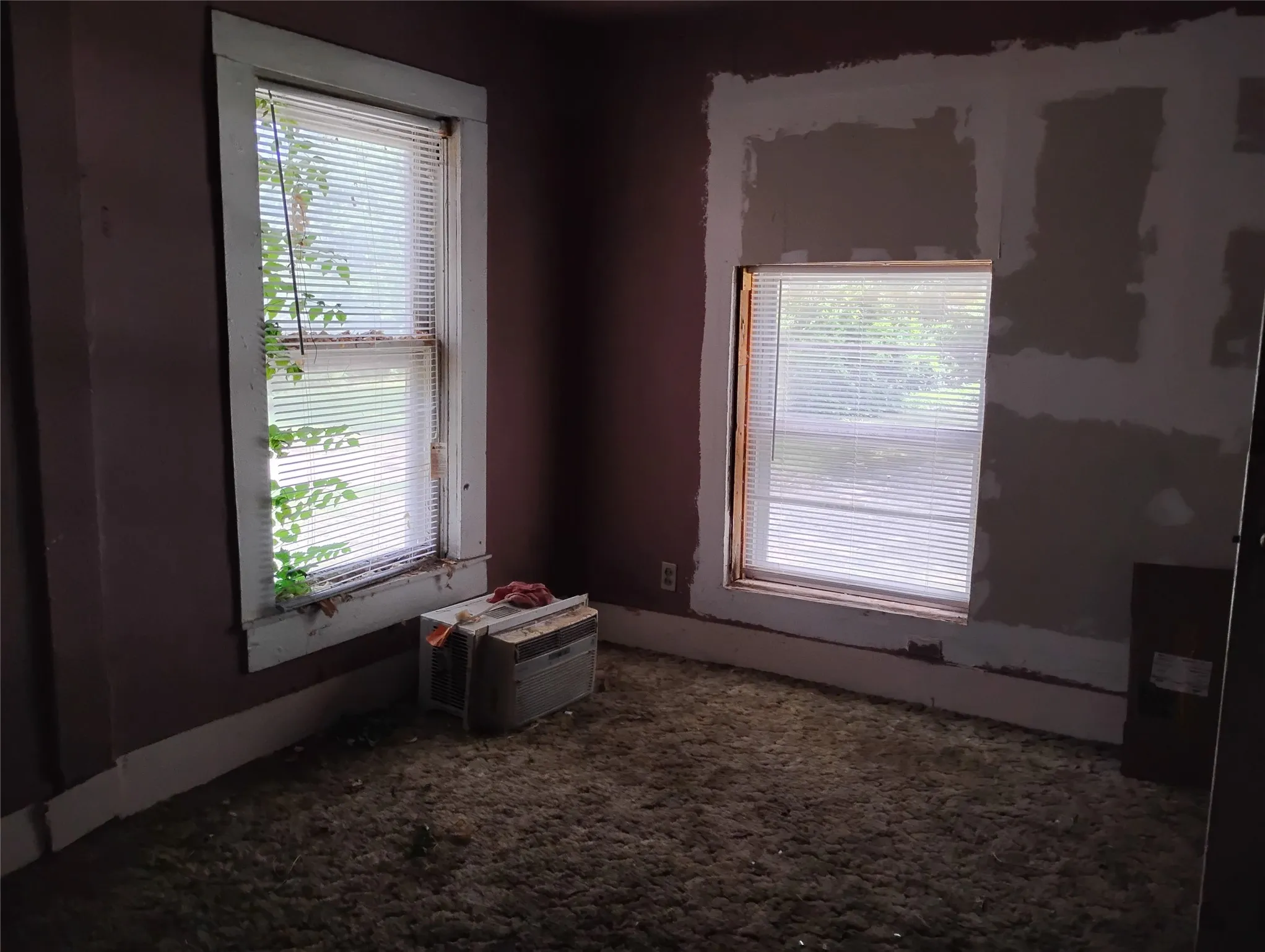 Room featuring two windows with blinds, dark wall paint, and unfinished drywall sections