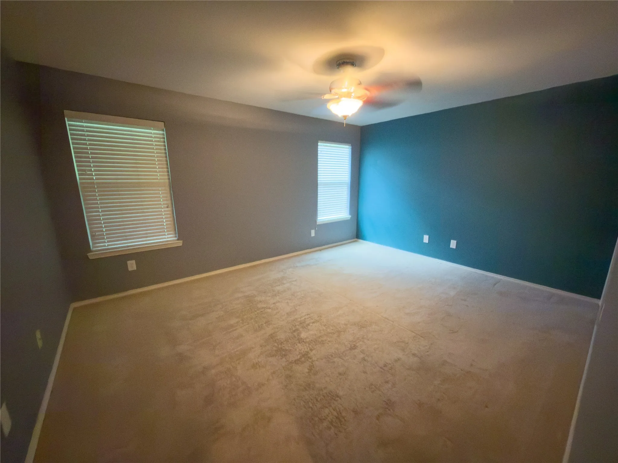 Spacious interior room featuring a ceiling fan with integrated lighting, two windows with horizontal blinds, neutral carpet flooring, and a contrasting accent wall