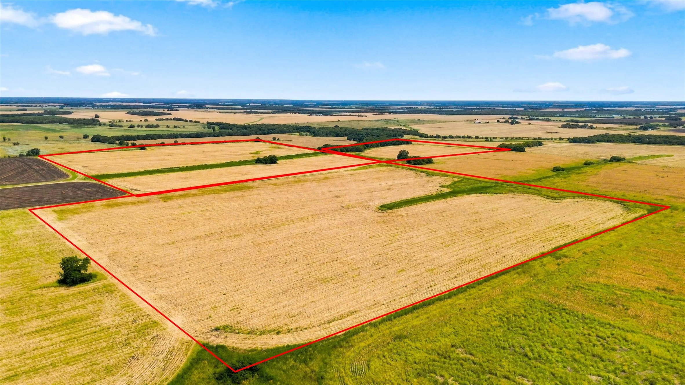 Unimproved Land For Sale in Delta County , 0000 DCR 3210, Cooper, Texas 75432, 0, 0, Garage spaces, 0 Sqft, built in 0, mls#21294060, Real Estate Agent in Cooper, Homes For Sale in Delta county, Homes For Sale in Cooper, Realtor in Cooper Texas, Real Estate Brokerage Independent Realty Texas, Luminita Cordes Realtor