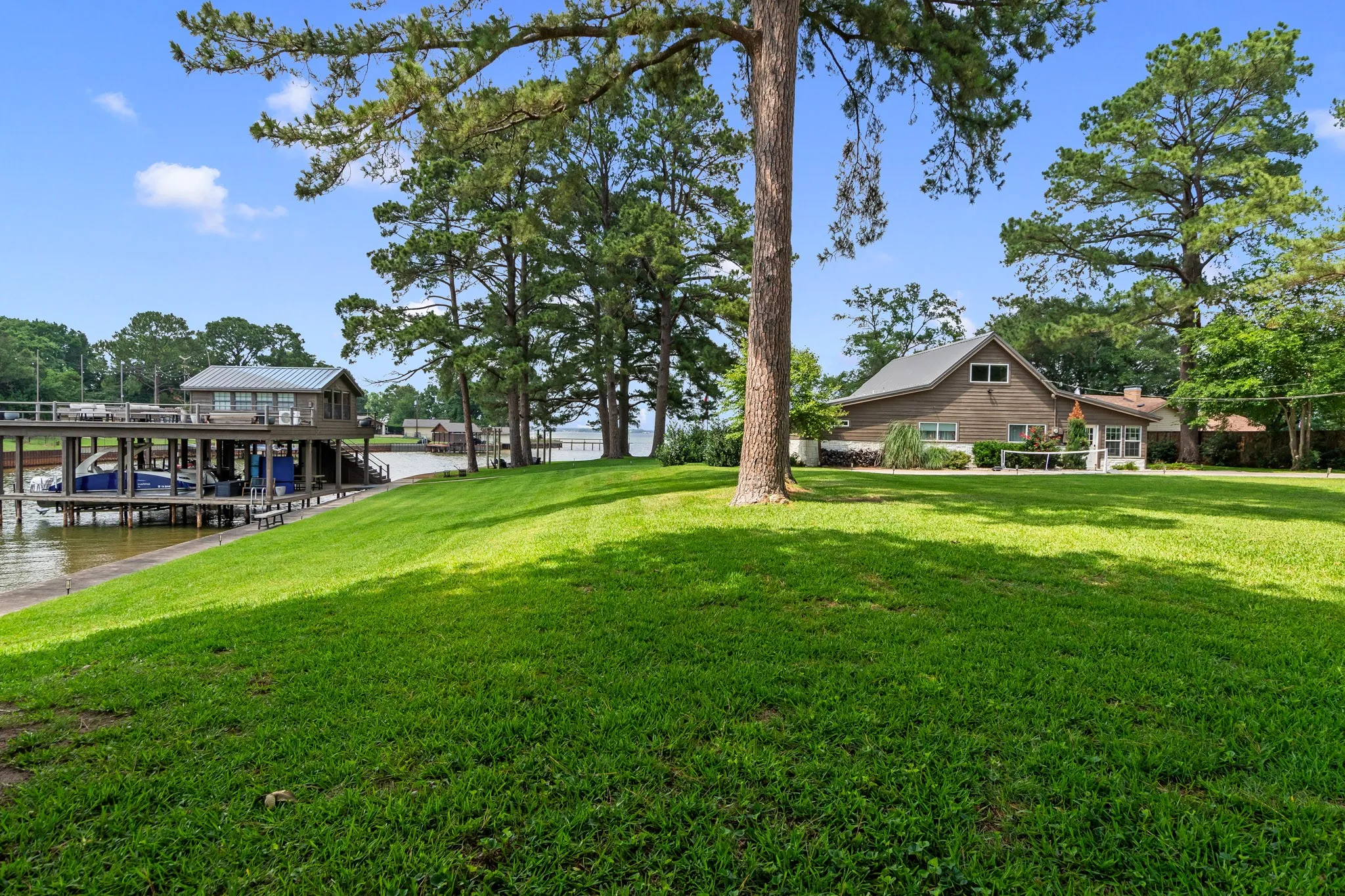 Towering Pine Trees Provide Shade and Privacy