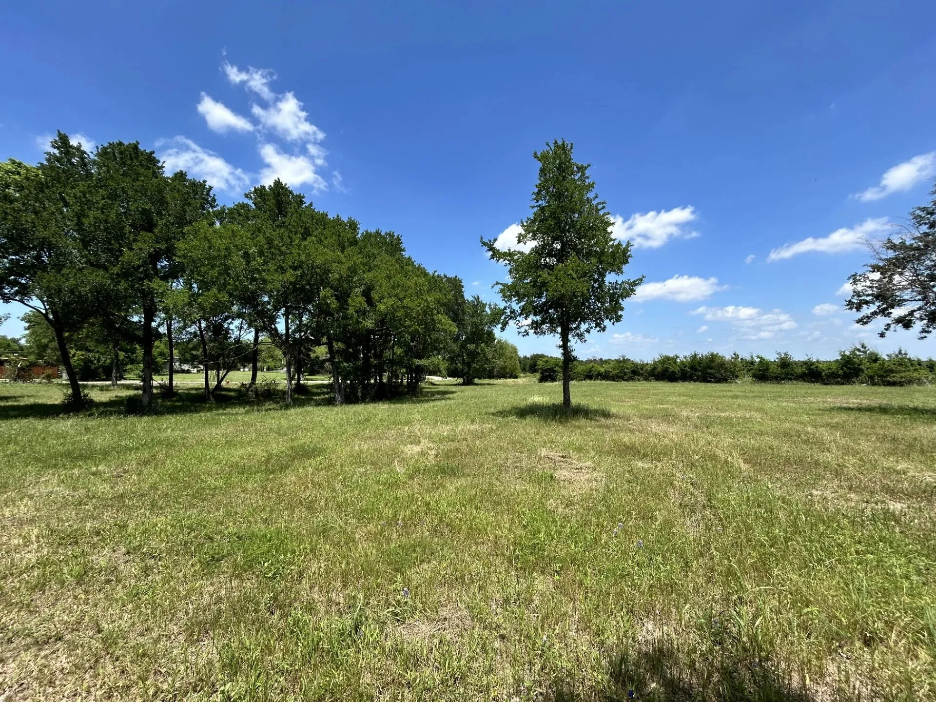 Manufactured Home For Sale in Limestone County , 1316 E Titus Street, Mexia, Texas 76667, 3 Bedroom, 1 Bathroom, Garage spaces, 800 Sqft, built in 2026, mls#21294071, Real Estate Agent in Mexia, Homes For Sale in Limestone county, Homes For Sale in Mexia, Realtor in Mexia Texas, Real Estate Brokerage Independent Realty Texas, Luminita Cordes Realtor