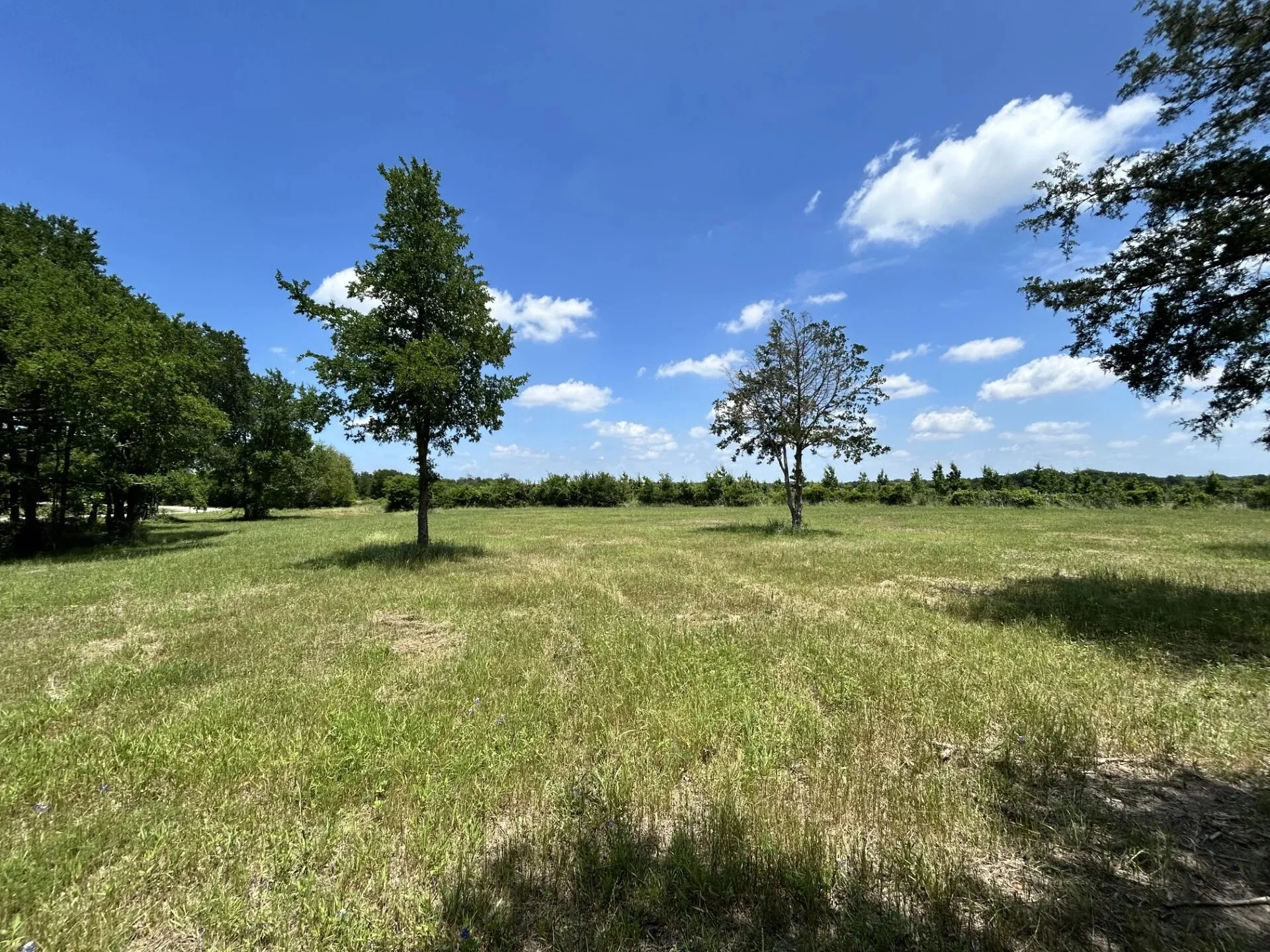 Manufactured Home For Sale in Limestone County , 1316 E Titus Street, Mexia, Texas 76667, 3 Bedroom, 1 Bathroom, Garage spaces, 800 Sqft, built in 2026, mls#21294071, Real Estate Agent in Mexia, Homes For Sale in Limestone county, Homes For Sale in Mexia, Realtor in Mexia Texas, Real Estate Brokerage Independent Realty Texas, Luminita Cordes Realtor