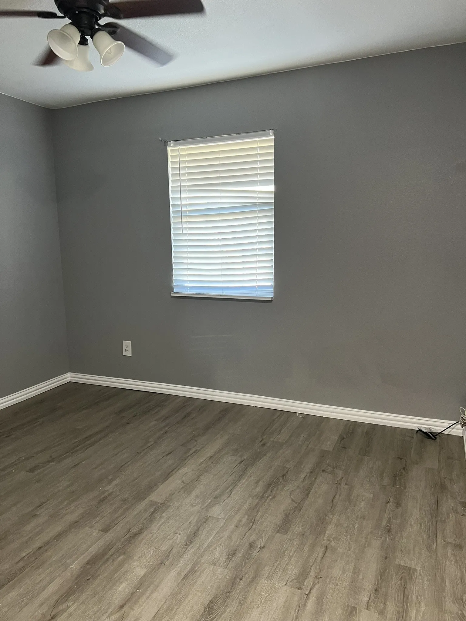 Neutral gray walls with white baseboards and wood-finish flooring