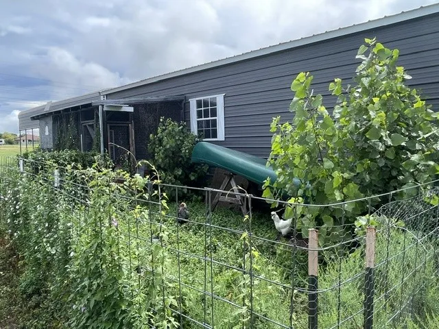Chicken coop
