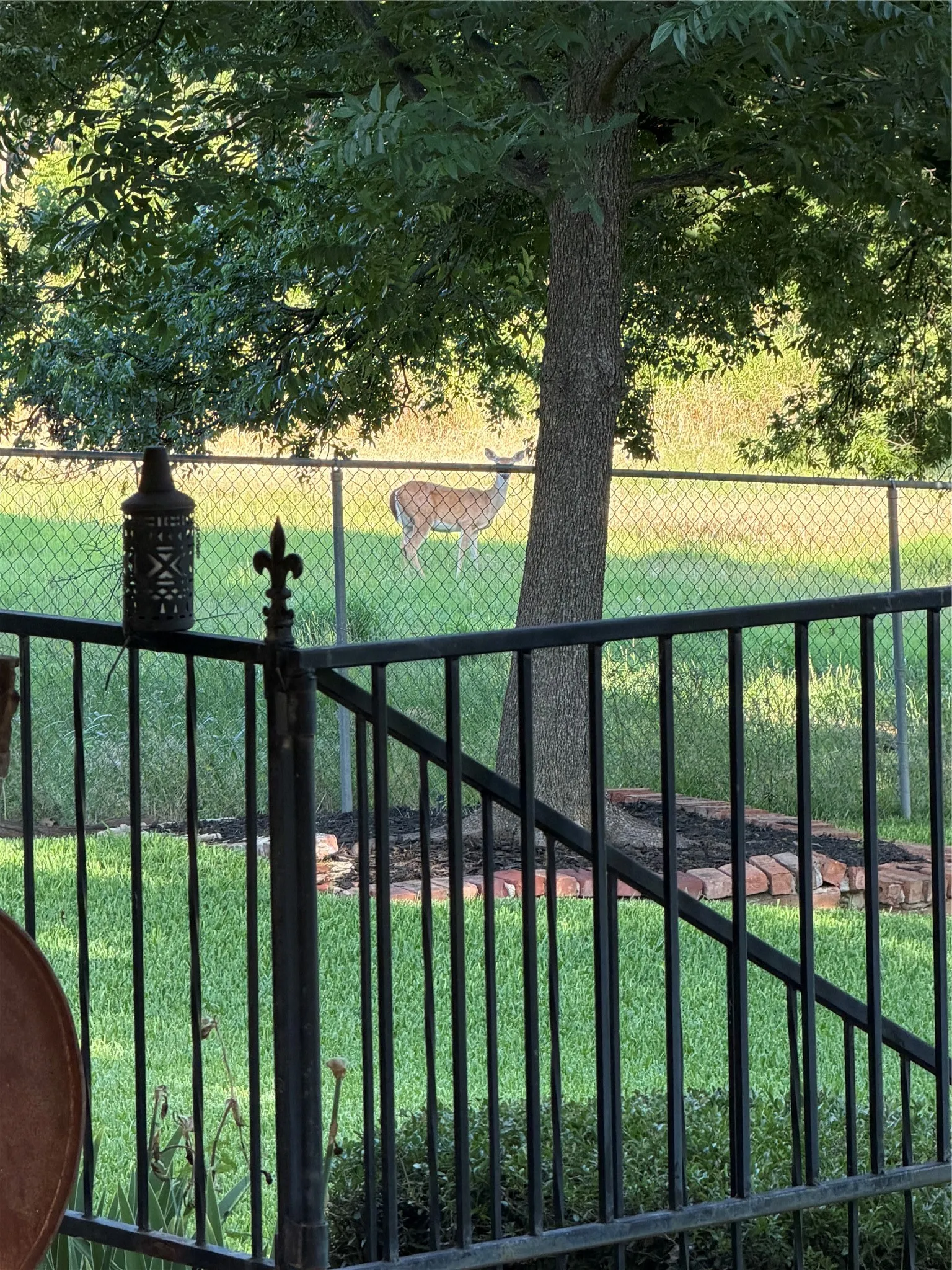 Single Family Residence For Sale in Jack County , 445 W Belknap Street, Jacksboro, Texas 76458, 5 Bedroom, 5 Bathroom, Garage spaces, 4,118 Sqft, built in 1915, mls#21289544, Real Estate Agent in Jacksboro, Homes For Sale in Jack county, Homes For Sale in Jacksboro, Realtor in Jacksboro Texas, Real Estate Brokerage Independent Realty Texas, Luminita Cordes Realtor