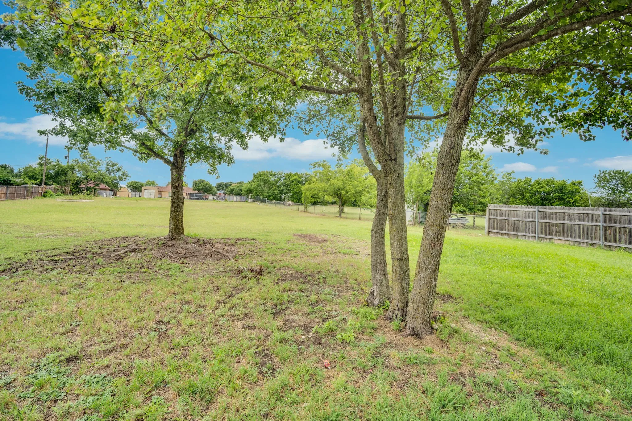 Expansive grassy lot featuring mature trees, a partially sloped terrain, and a wood privacy fence