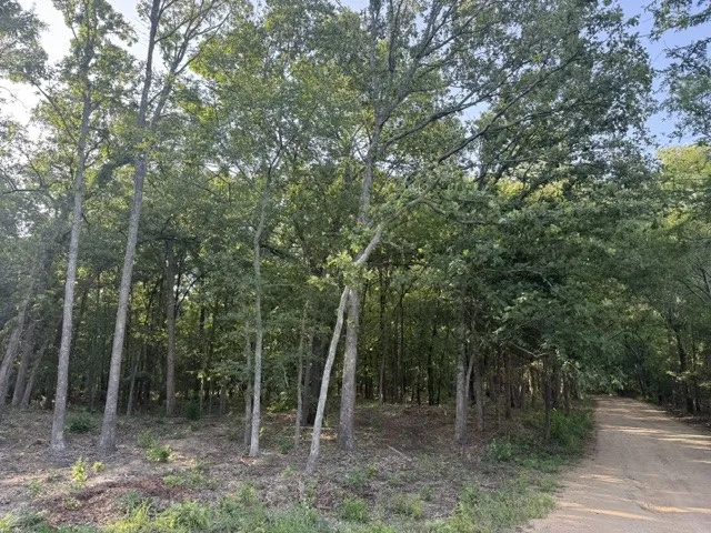 Improved Land For Sale in Lamar County , 57 PR 43955, Blossom, Texas 75416, 0, 0, Garage spaces, 0 Sqft, built in 0, Price $155,000, mls#21294173, Real Estate Agent in Blossom, Homes For Sale in Lamar county, Homes For Sale in Blossom, Realtor in Blossom Texas, Real Estate Brokerage Independent Realty Texas, Luminita Cordes Realtor
