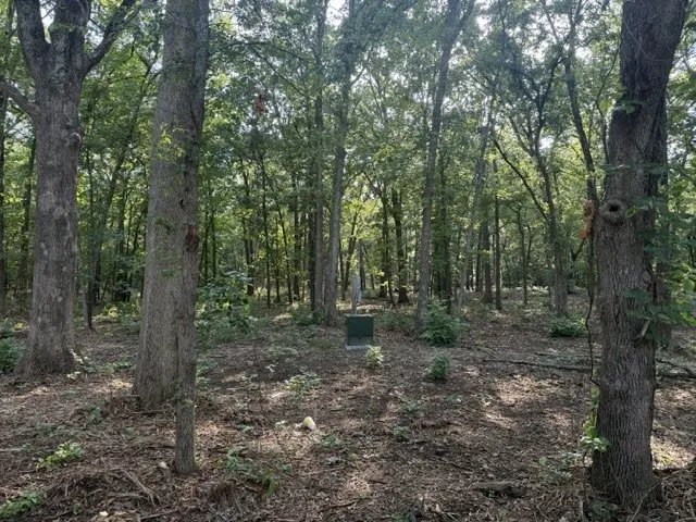 Improved Land For Sale in Lamar County , 57 PR 43955, Blossom, Texas 75416, 0, 0, Garage spaces, 0 Sqft, built in 0, Price $155,000, mls#21294173, Real Estate Agent in Blossom, Homes For Sale in Lamar county, Homes For Sale in Blossom, Realtor in Blossom Texas, Real Estate Brokerage Independent Realty Texas, Luminita Cordes Realtor