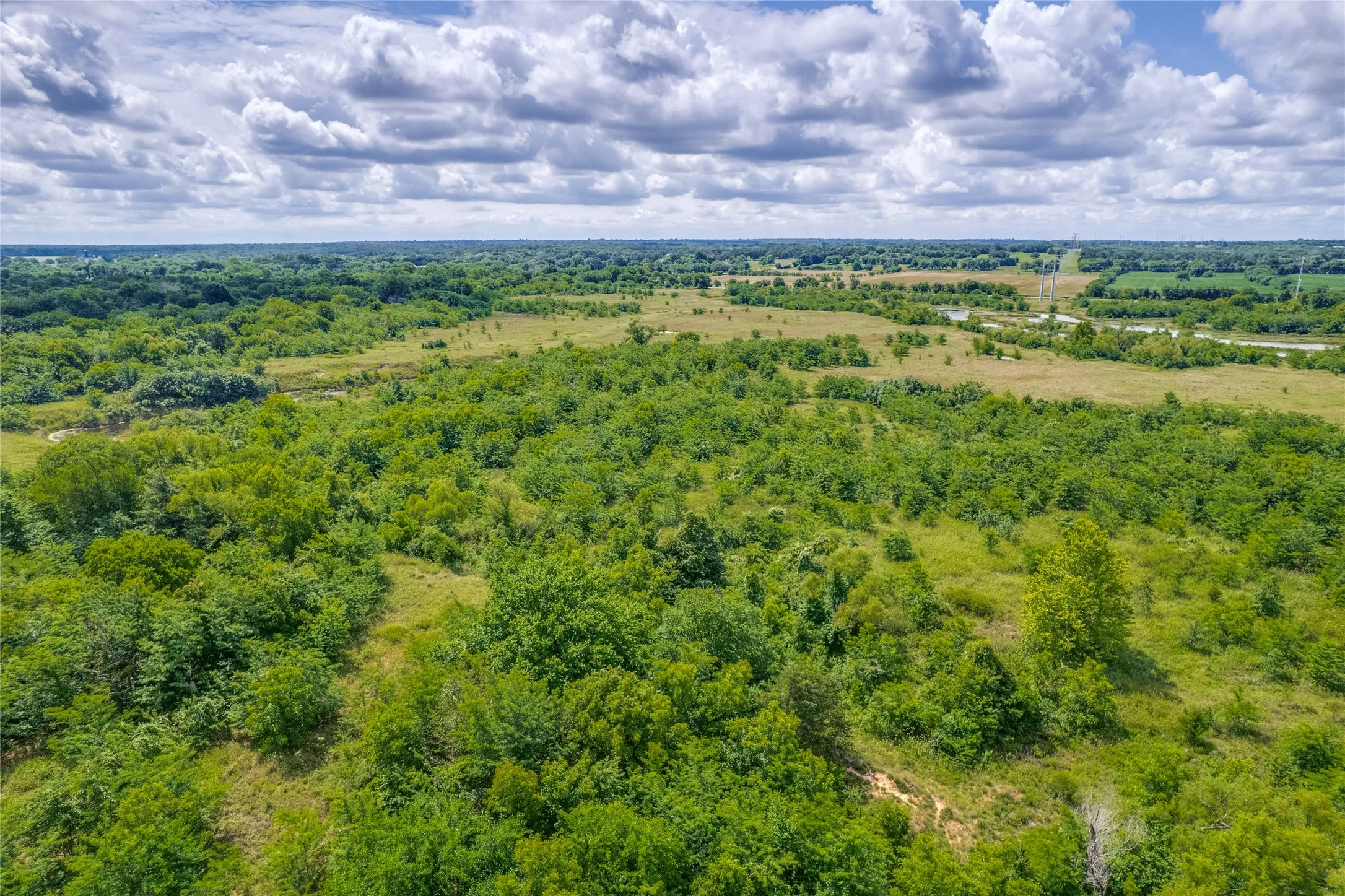 Aerial view showing dense tree cover providing perfect wildlife habitat