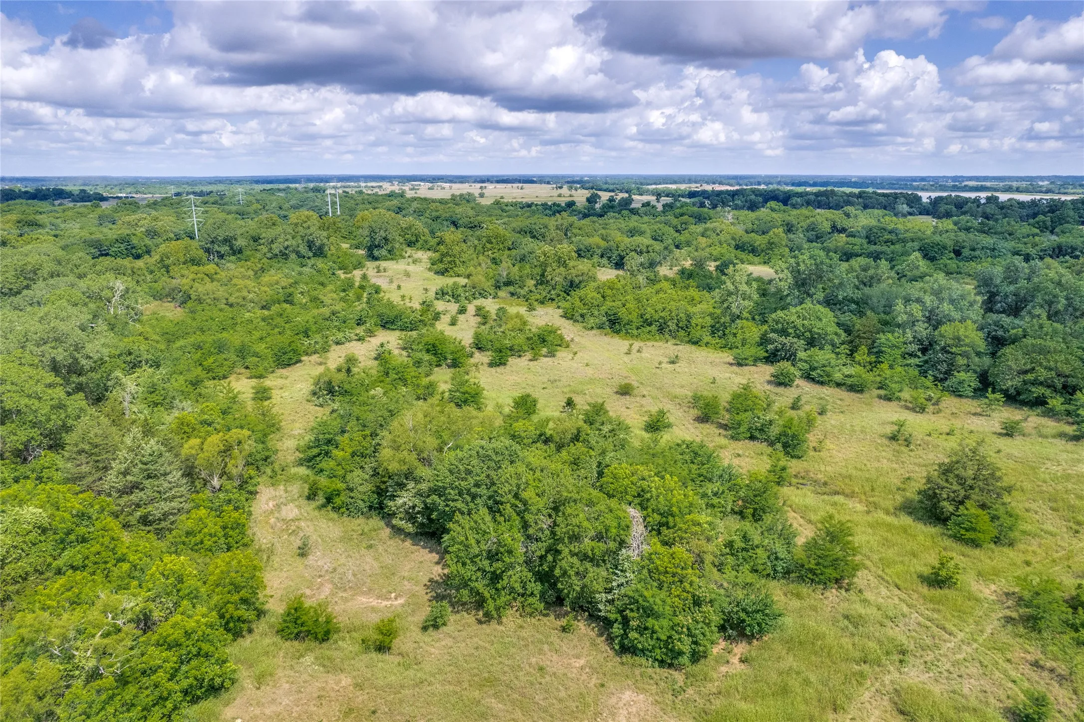 Aerial view showing dense tree cover and open pasture