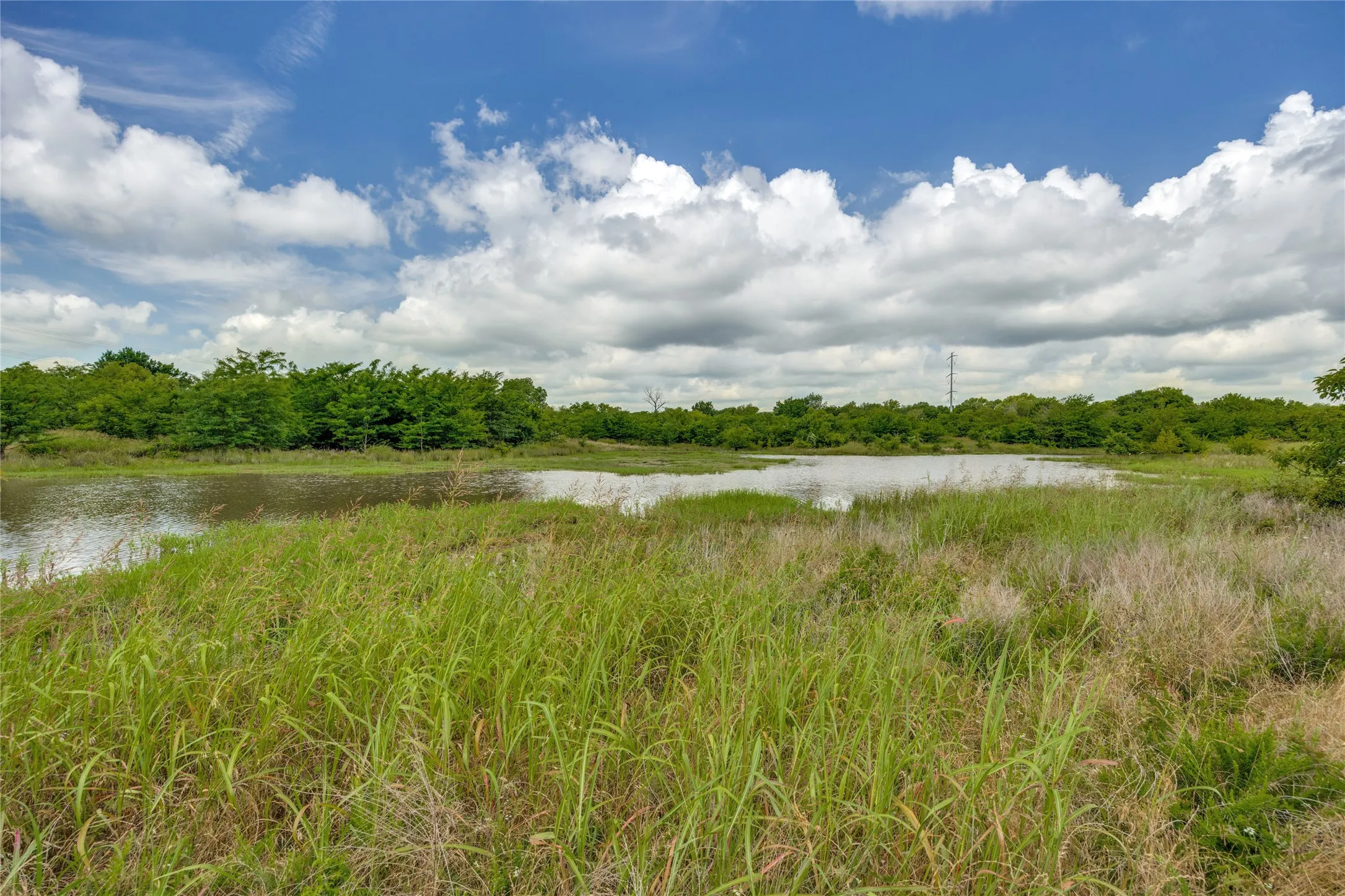Large pond perfect for waterfoul hunting