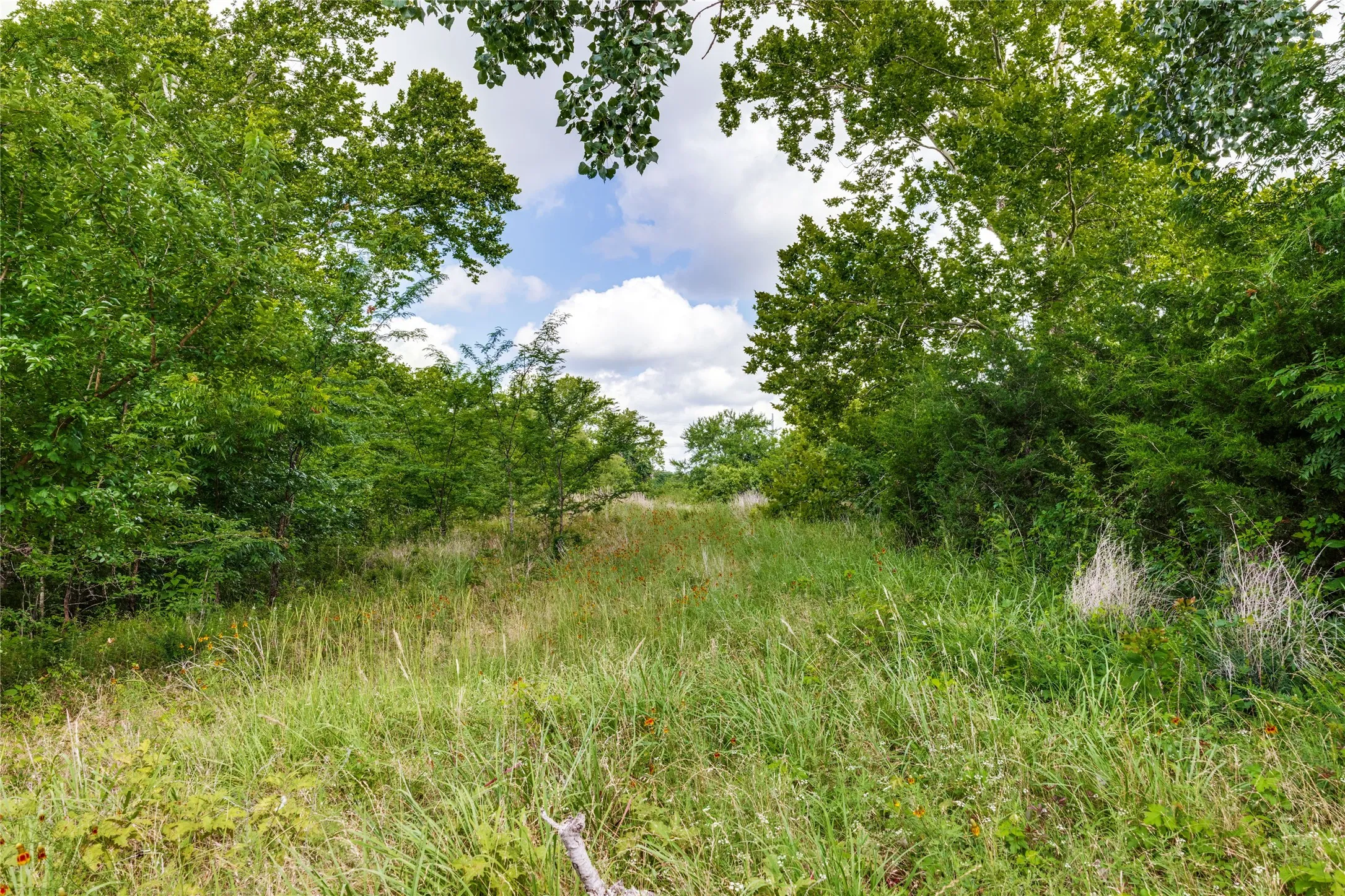 Ranch For Sale in Fannin County , 10092 W FM 1753, Savoy, Texas 76479, 0, 0, Garage spaces, 0 Sqft, built in 0, mls#21289977, Real Estate Agent in Savoy, Homes For Sale in Fannin county, Homes For Sale in Savoy, Realtor in Savoy Texas, Real Estate Brokerage Independent Realty Texas, Luminita Cordes Realtor