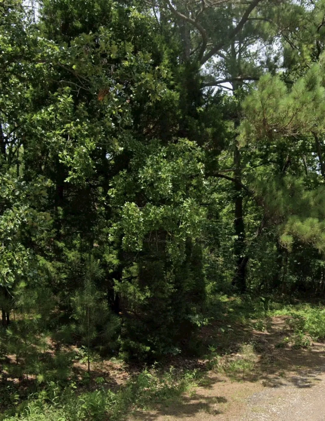 Heavily treed
