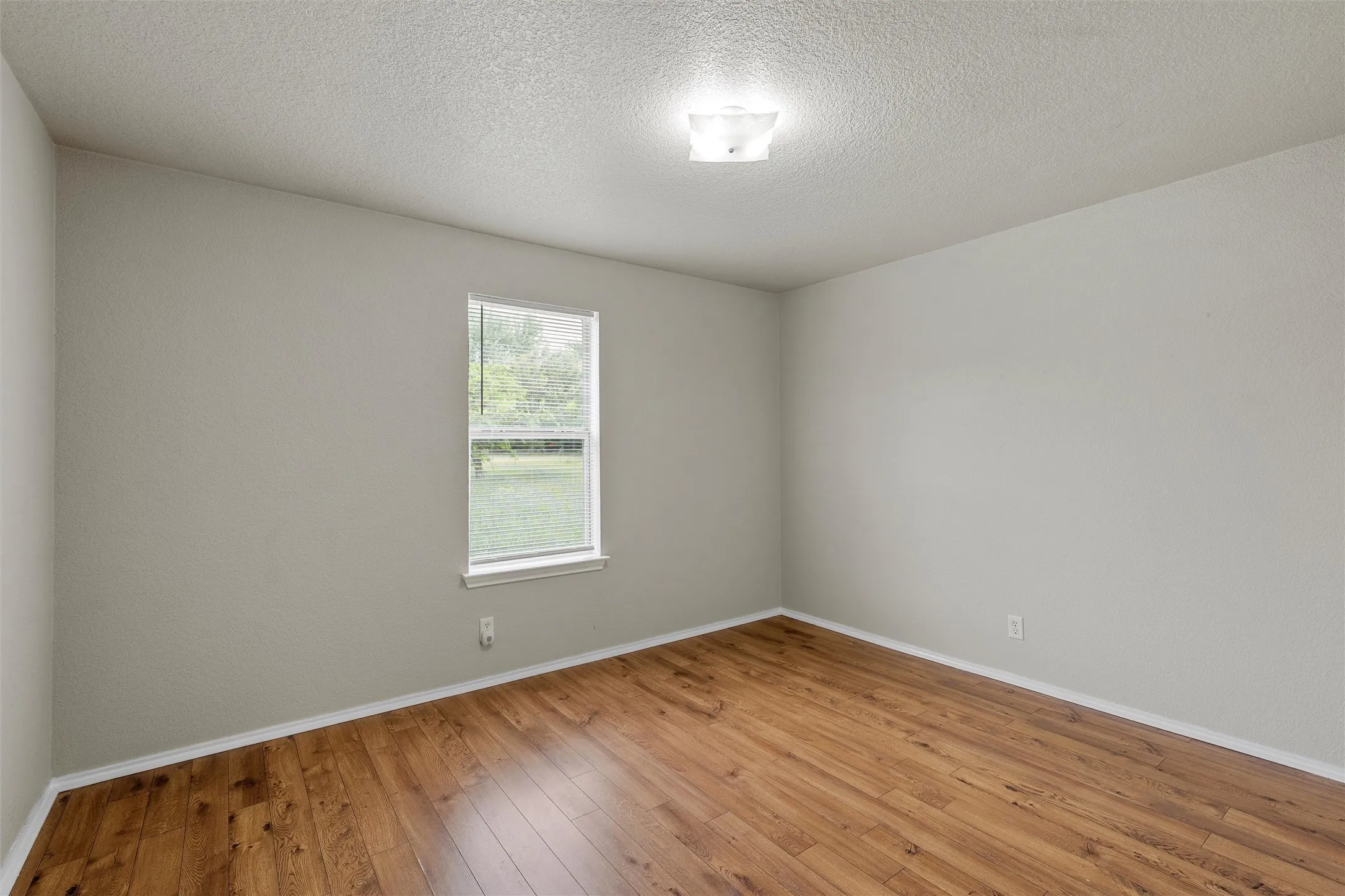 Bright room featuring wood-finish flooring, a white trim baseboard, a single window, and neutral wall paint