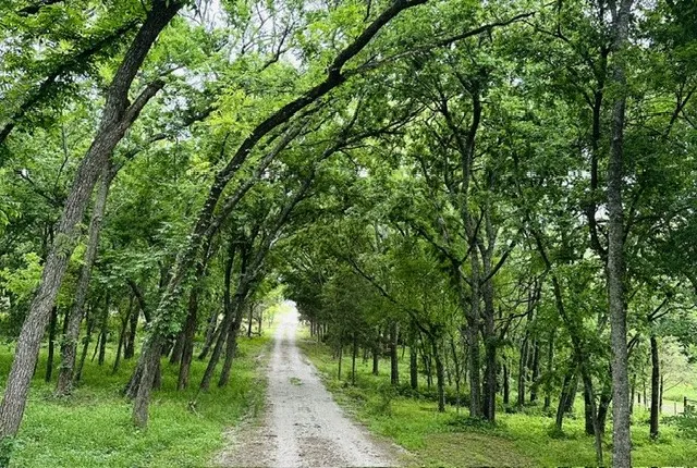 Farm For Sale in Grayson County , 303 Celtic Road, Howe, Texas 75459, 3 Bedroom, 4 Bathroom, 2 Garage spaces, 2,706 Sqft, built in 2004, mls#21292759, Real Estate Agent in Howe, Homes For Sale in Grayson county, Homes For Sale in Howe, Realtor in Howe Texas, Real Estate Brokerage Independent Realty Texas, Luminita Cordes Realtor