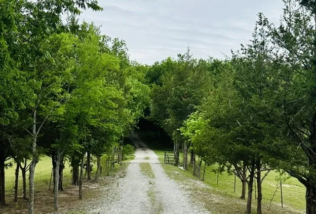 Farm For Sale in Grayson County , 303 Celtic Road, Howe, Texas 75459, 3 Bedroom, 4 Bathroom, 2 Garage spaces, 2,706 Sqft, built in 2004, mls#21292759, Real Estate Agent in Howe, Homes For Sale in Grayson county, Homes For Sale in Howe, Realtor in Howe Texas, Real Estate Brokerage Independent Realty Texas, Luminita Cordes Realtor
