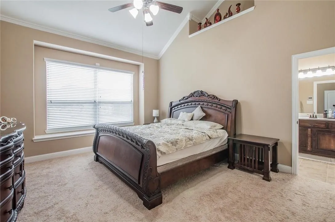 Carpeted room featuring a double window with blinds, a vaulted ceiling, a ceiling fan with integrated lighting, and crown molding