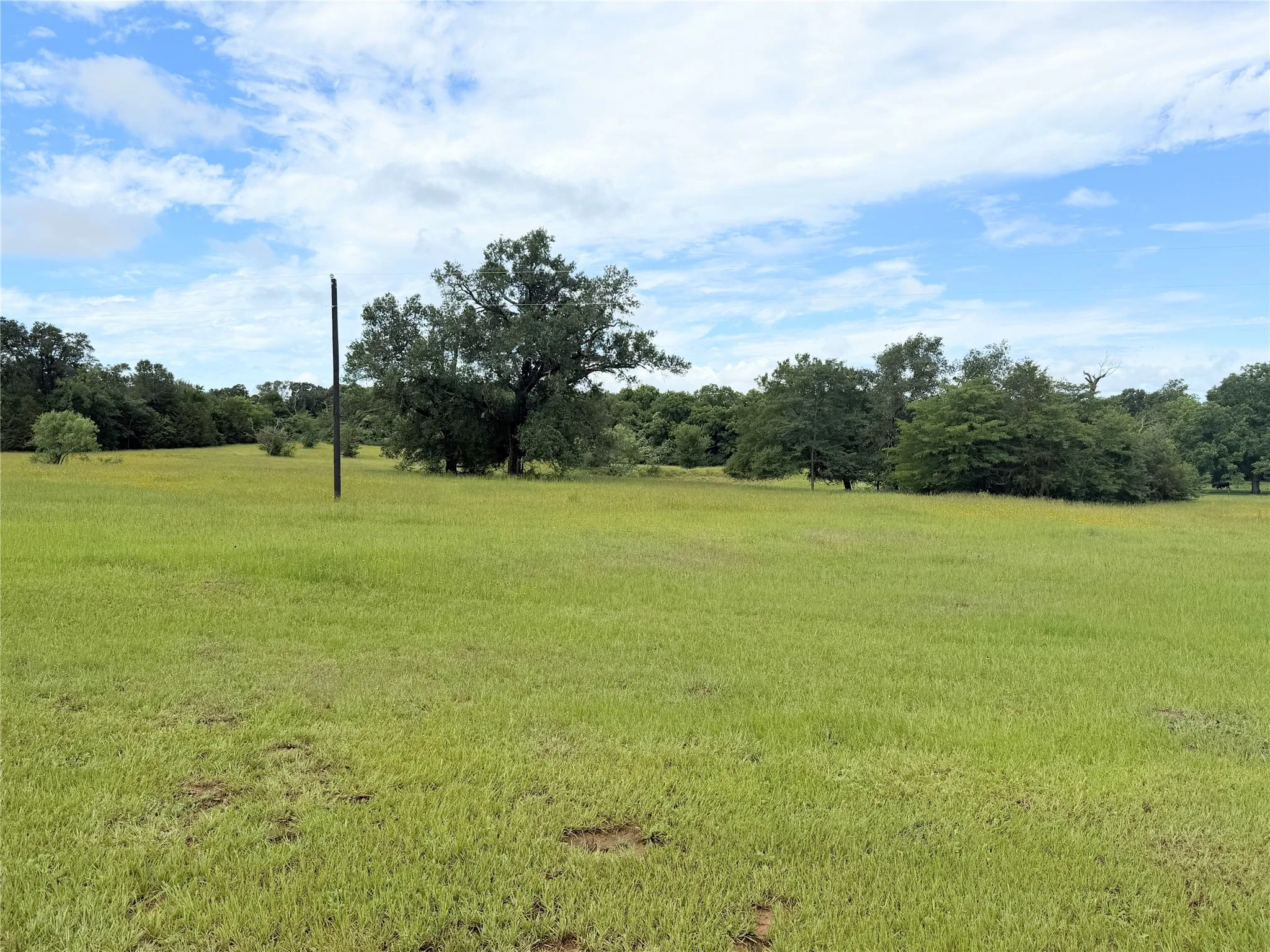 Farm For Sale in Freestone County , 350 CR 1070, Wortham, Texas 76693, 2 Bedroom, 2 Bathroom, Garage spaces, 1,024 Sqft, built in 2025, mls#21289316, Real Estate Agent in Wortham, Homes For Sale in Freestone county, Homes For Sale in Wortham, Realtor in Wortham Texas, Real Estate Brokerage Independent Realty Texas, Luminita Cordes Realtor