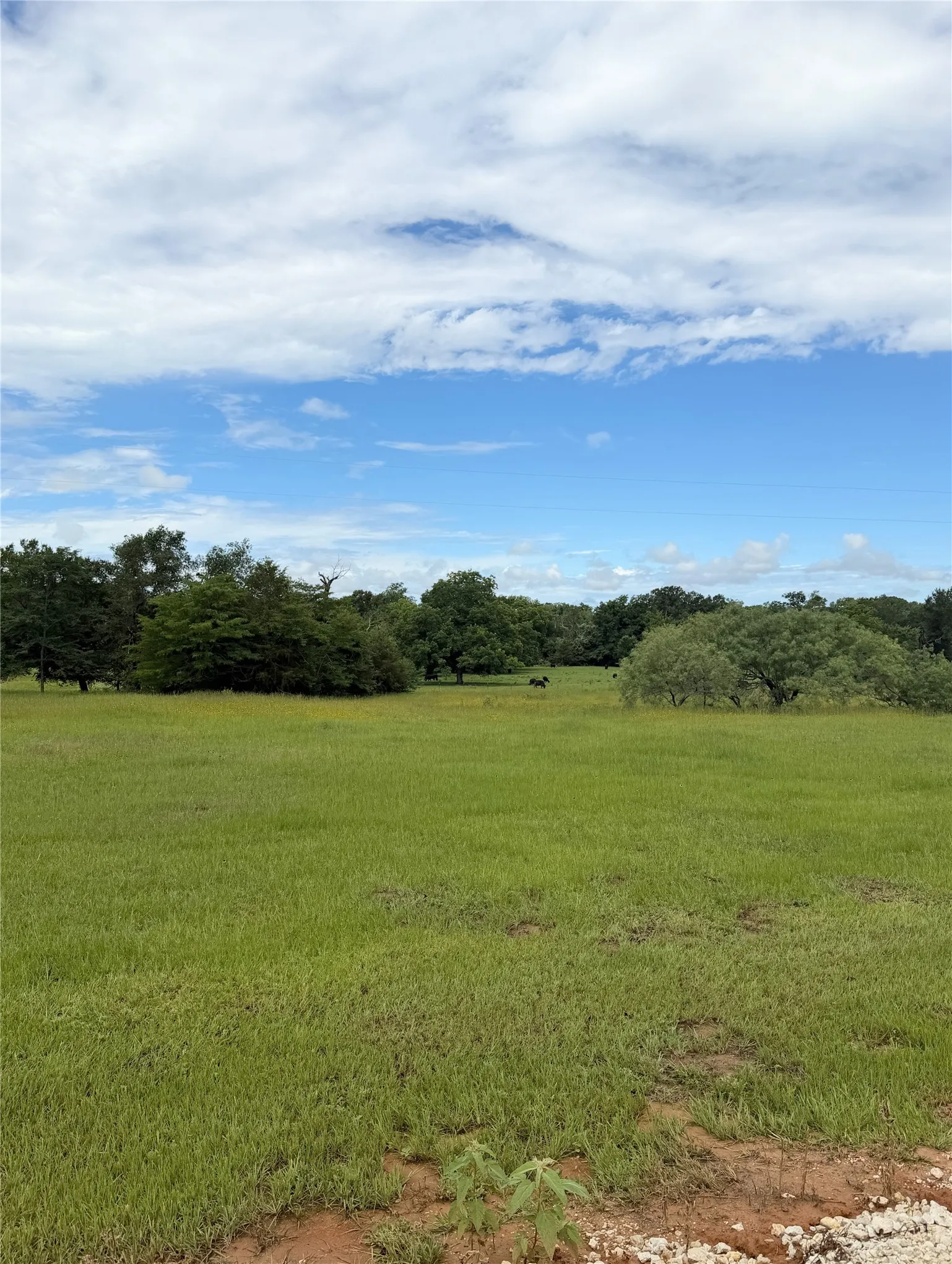 Farm For Sale in Freestone County , 350 CR 1070, Wortham, Texas 76693, 2 Bedroom, 2 Bathroom, Garage spaces, 1,024 Sqft, built in 2025, mls#21289316, Real Estate Agent in Wortham, Homes For Sale in Freestone county, Homes For Sale in Wortham, Realtor in Wortham Texas, Real Estate Brokerage Independent Realty Texas, Luminita Cordes Realtor