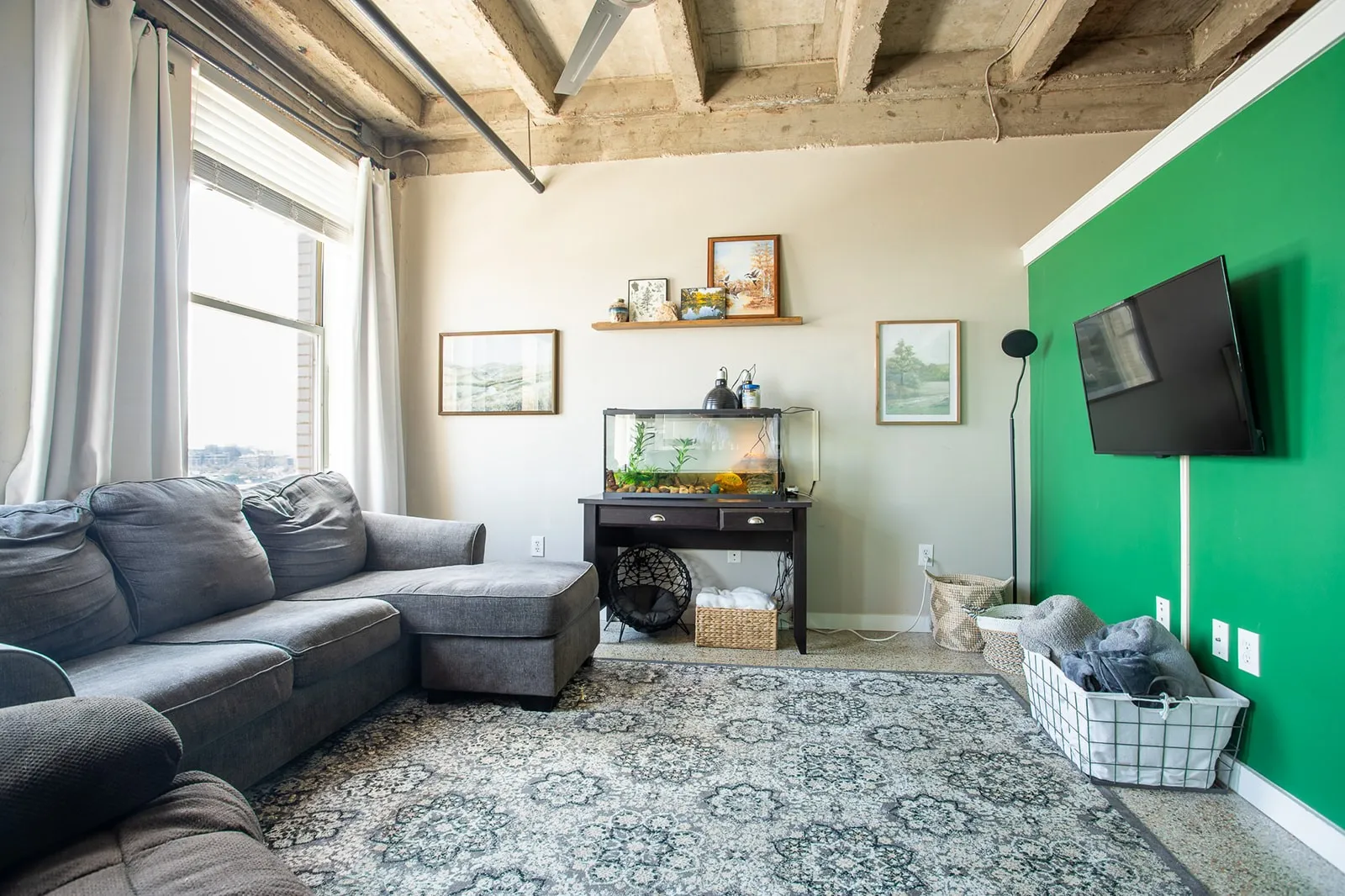 High ceilings with exposed concrete beams, large windows with white blinds, and a distinctive accent wall