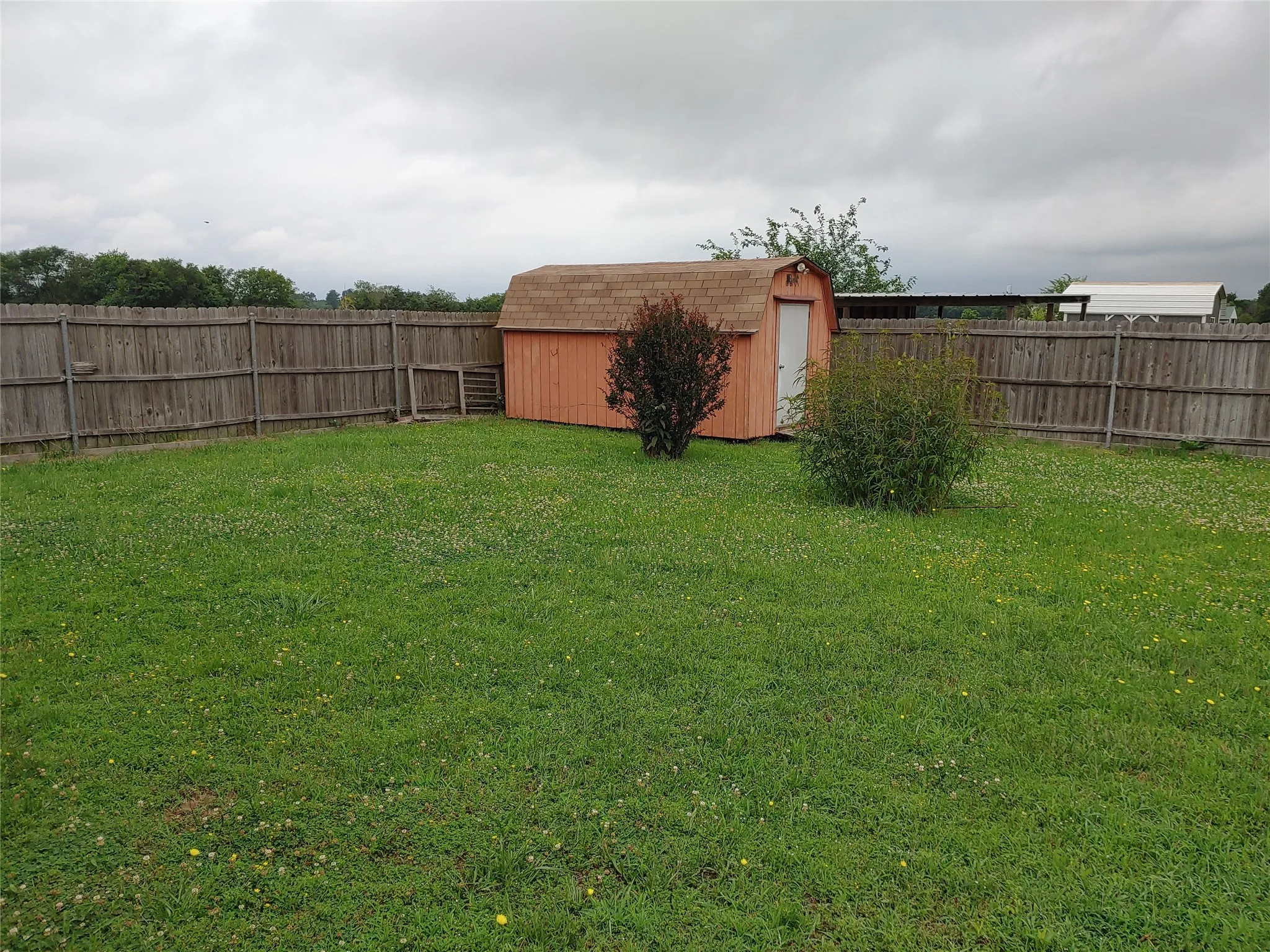 Expansive backyard featuring a privacy fence, a storage shed with a gambrel roof, and established shrubbery