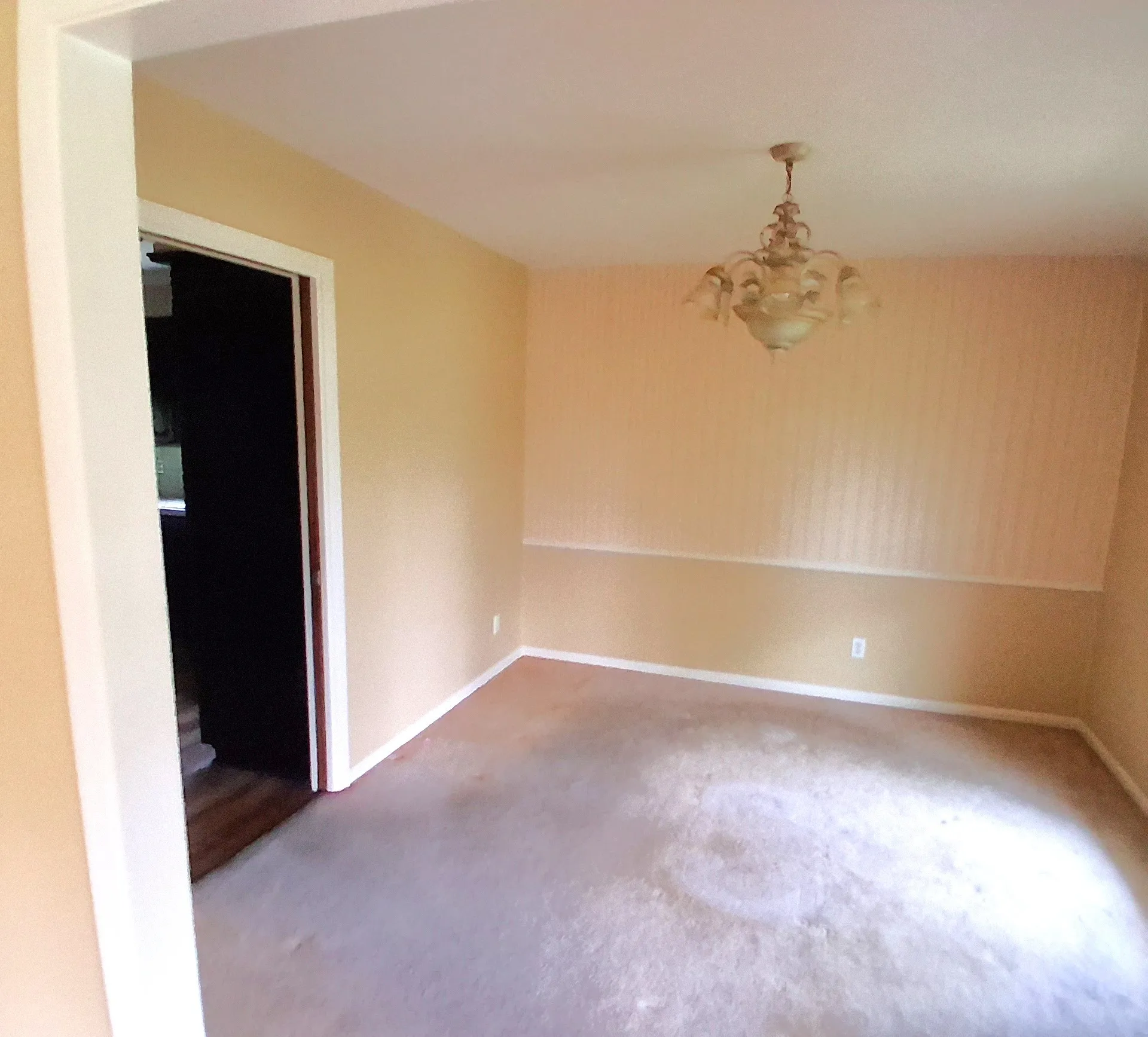 Single Family Residence For Sale in Bowie County , 901 Bluebird Lane, Wake Village, Texas 75501, 3 Bedroom, 2 Bathroom, 2 Garage spaces, 1,974 Sqft, built in 1960, mls#21293562, Real Estate Agent in Wake Village, Homes For Sale in Bowie county, Homes For Sale in Wake Village, Realtor in Wake Village Texas, Real Estate Brokerage Independent Realty Texas, Luminita Cordes Realtor