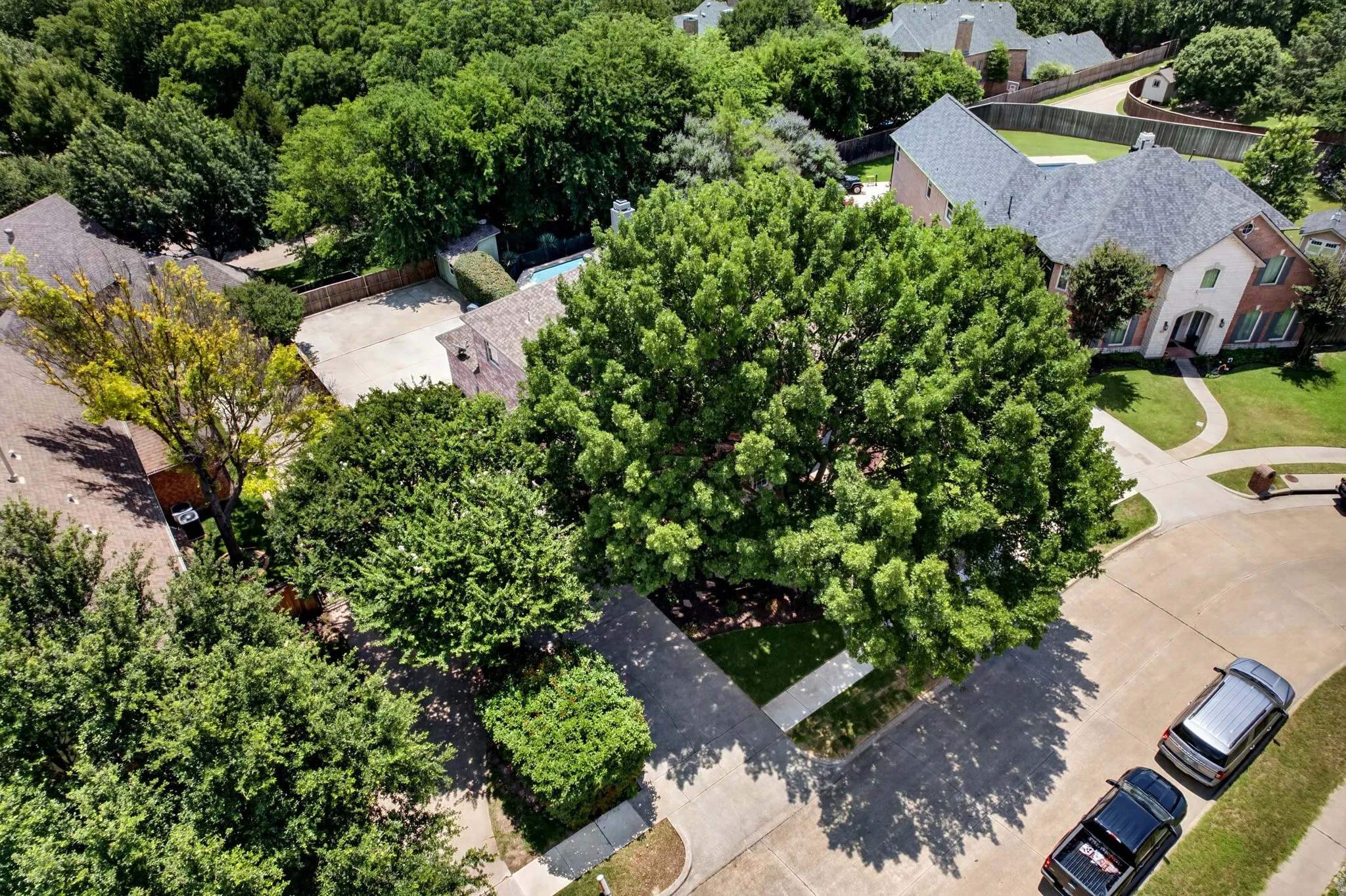 Expansive property featuring a mature tree, manicured lawn, and brick-and-siding exterior