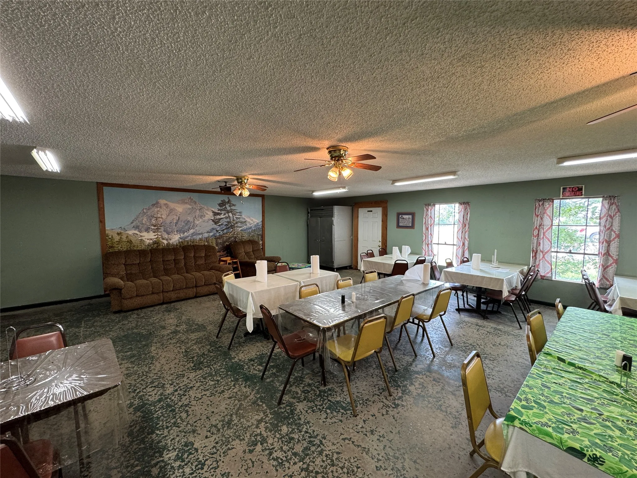 Spacious open-concept room featuring light green walls, multiple windows, and a built-in wall mural