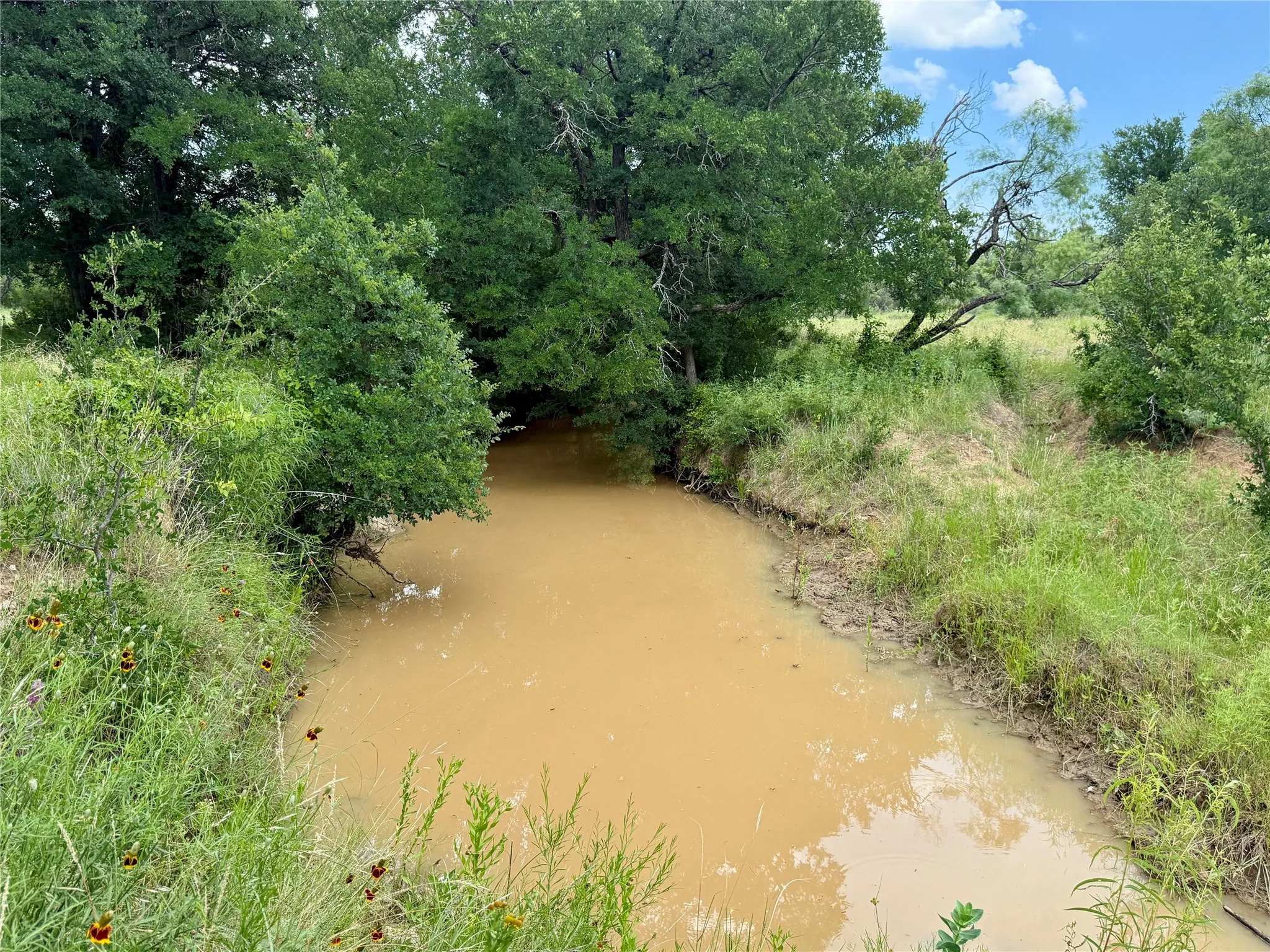 Unimproved Land For Sale in Brown County , 2840 County Road 404, Early, Texas 76802, 0, 0, Garage spaces, 0 Sqft, built in 0, mls#21294534, Real Estate Agent in Early, Homes For Sale in Brown county, Homes For Sale in Early, Realtor in Early Texas, Real Estate Brokerage Independent Realty Texas, Luminita Cordes Realtor