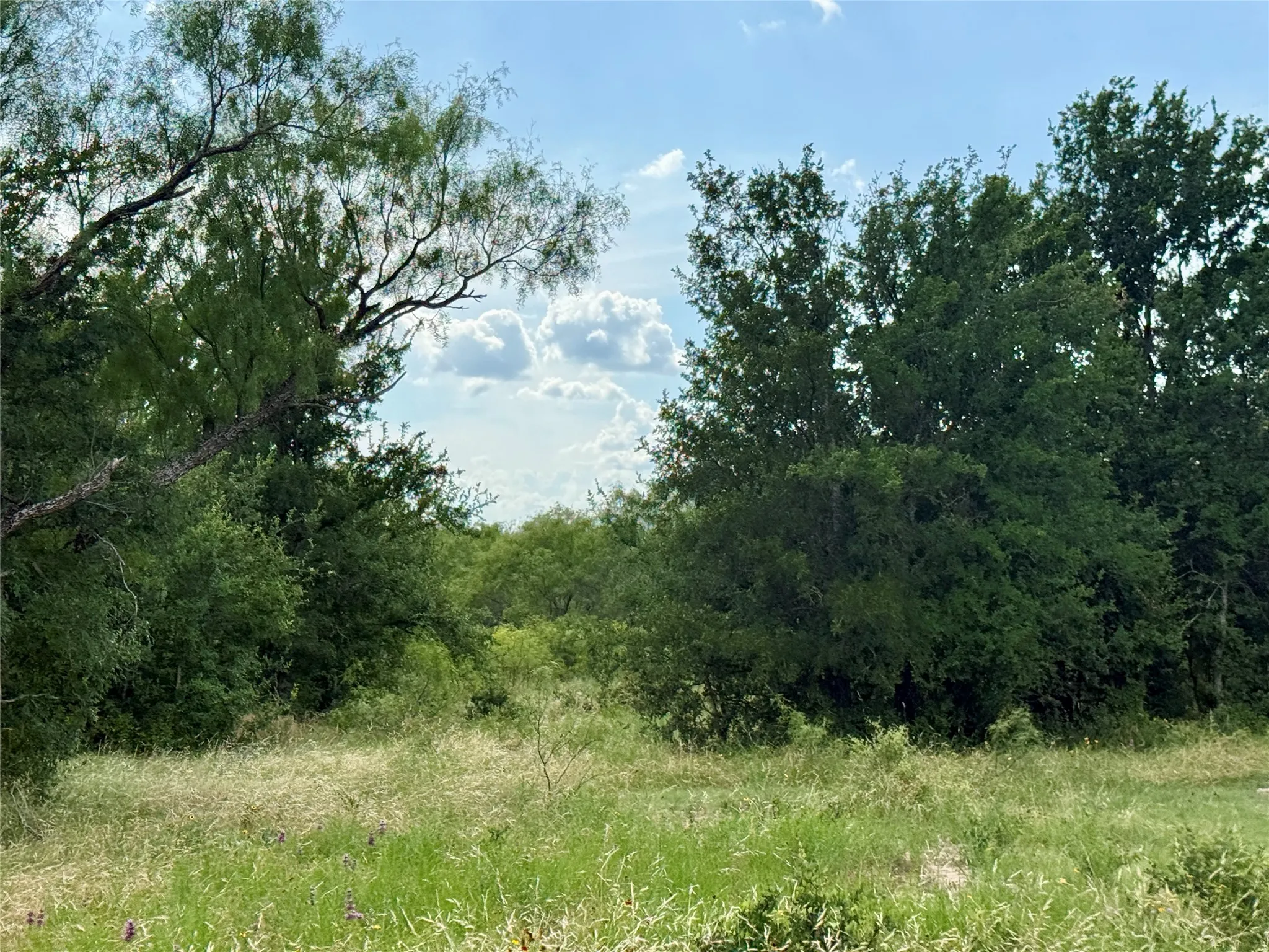 Unimproved Land For Sale in Brown County , 2840 County Road 404, Early, Texas 76802, 0, 0, Garage spaces, 0 Sqft, built in 0, mls#21294534, Real Estate Agent in Early, Homes For Sale in Brown county, Homes For Sale in Early, Realtor in Early Texas, Real Estate Brokerage Independent Realty Texas, Luminita Cordes Realtor