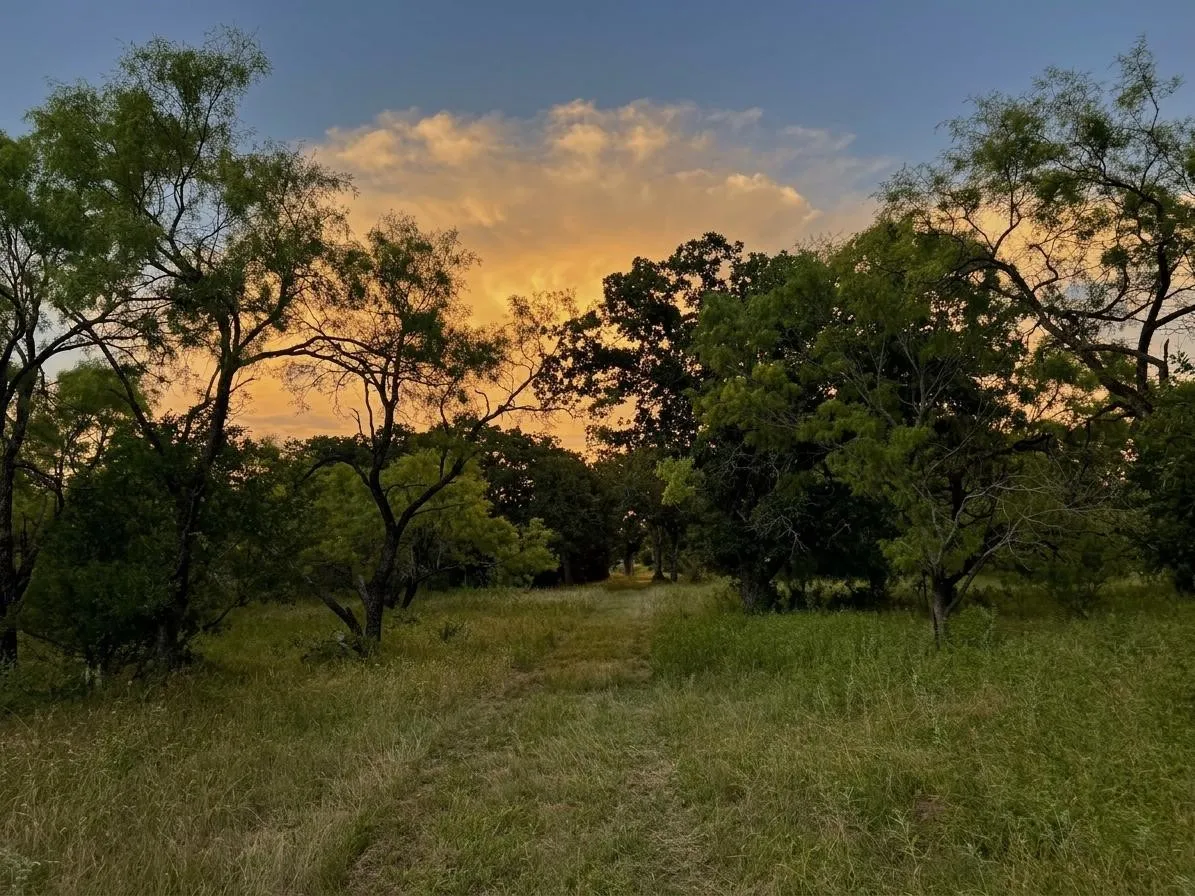 Unimproved Land For Sale in Brown County , 2840 County Road 404, Early, Texas 76802, 0, 0, Garage spaces, 0 Sqft, built in 0, mls#21294534, Real Estate Agent in Early, Homes For Sale in Brown county, Homes For Sale in Early, Realtor in Early Texas, Real Estate Brokerage Independent Realty Texas, Luminita Cordes Realtor