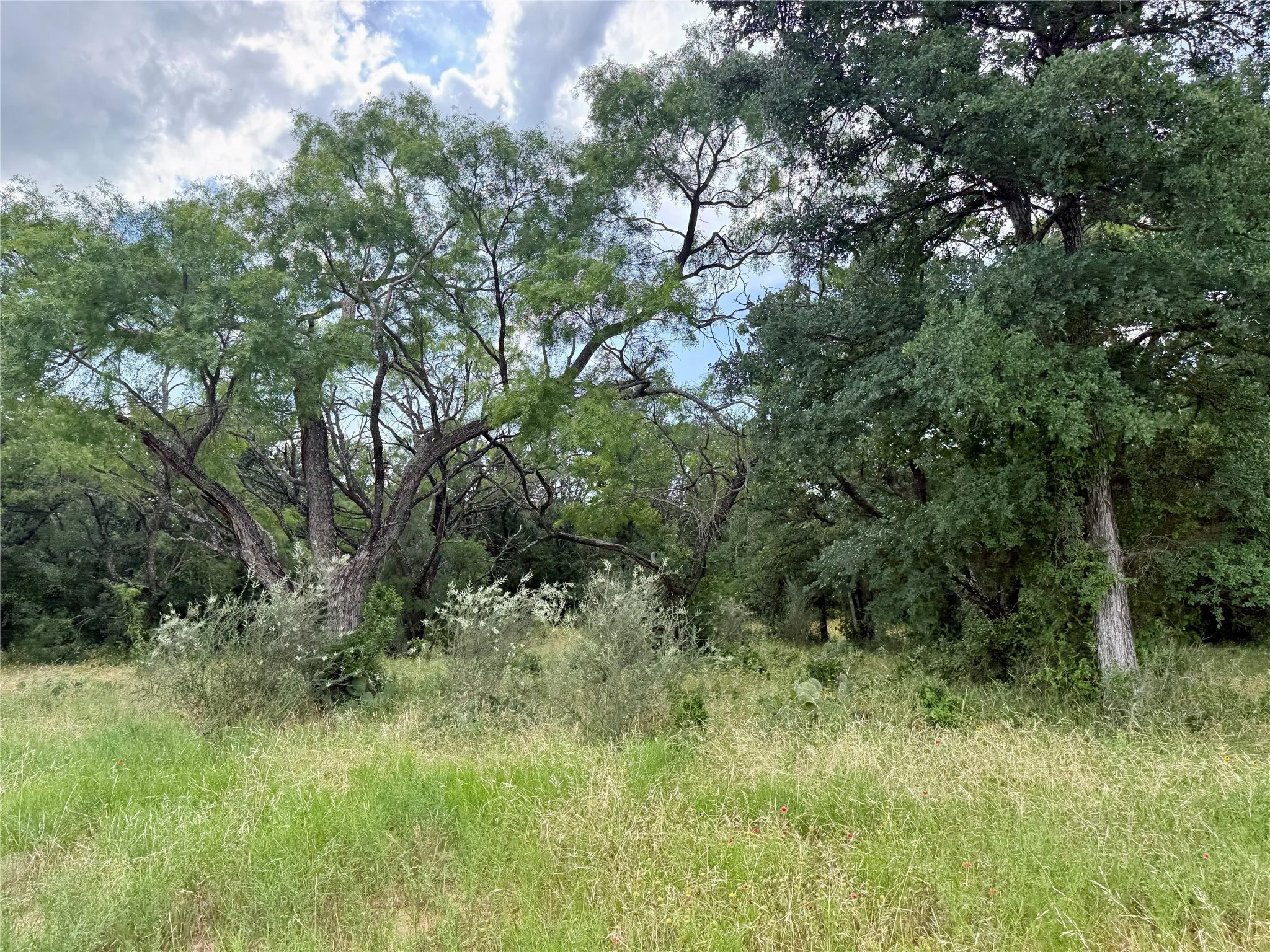 Unimproved Land For Sale in Brown County , 2840 County Road 404, Early, Texas 76802, 0, 0, Garage spaces, 0 Sqft, built in 0, mls#21294534, Real Estate Agent in Early, Homes For Sale in Brown county, Homes For Sale in Early, Realtor in Early Texas, Real Estate Brokerage Independent Realty Texas, Luminita Cordes Realtor