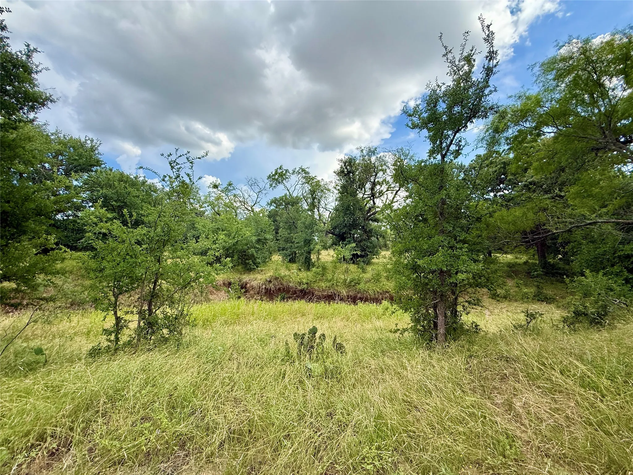 Unimproved Land For Sale in Brown County , 2840 County Road 404, Early, Texas 76802, 0, 0, Garage spaces, 0 Sqft, built in 0, mls#21294534, Real Estate Agent in Early, Homes For Sale in Brown county, Homes For Sale in Early, Realtor in Early Texas, Real Estate Brokerage Independent Realty Texas, Luminita Cordes Realtor