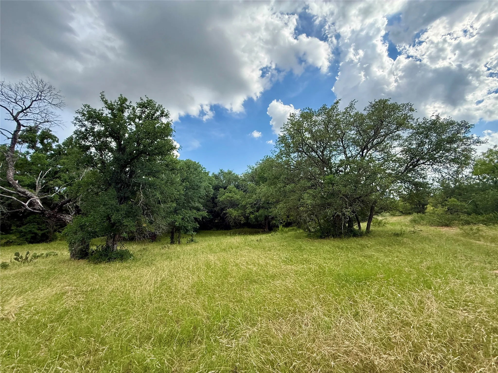 Unimproved Land For Sale in Brown County , 2840 County Road 404, Early, Texas 76802, 0, 0, Garage spaces, 0 Sqft, built in 0, mls#21294534, Real Estate Agent in Early, Homes For Sale in Brown county, Homes For Sale in Early, Realtor in Early Texas, Real Estate Brokerage Independent Realty Texas, Luminita Cordes Realtor