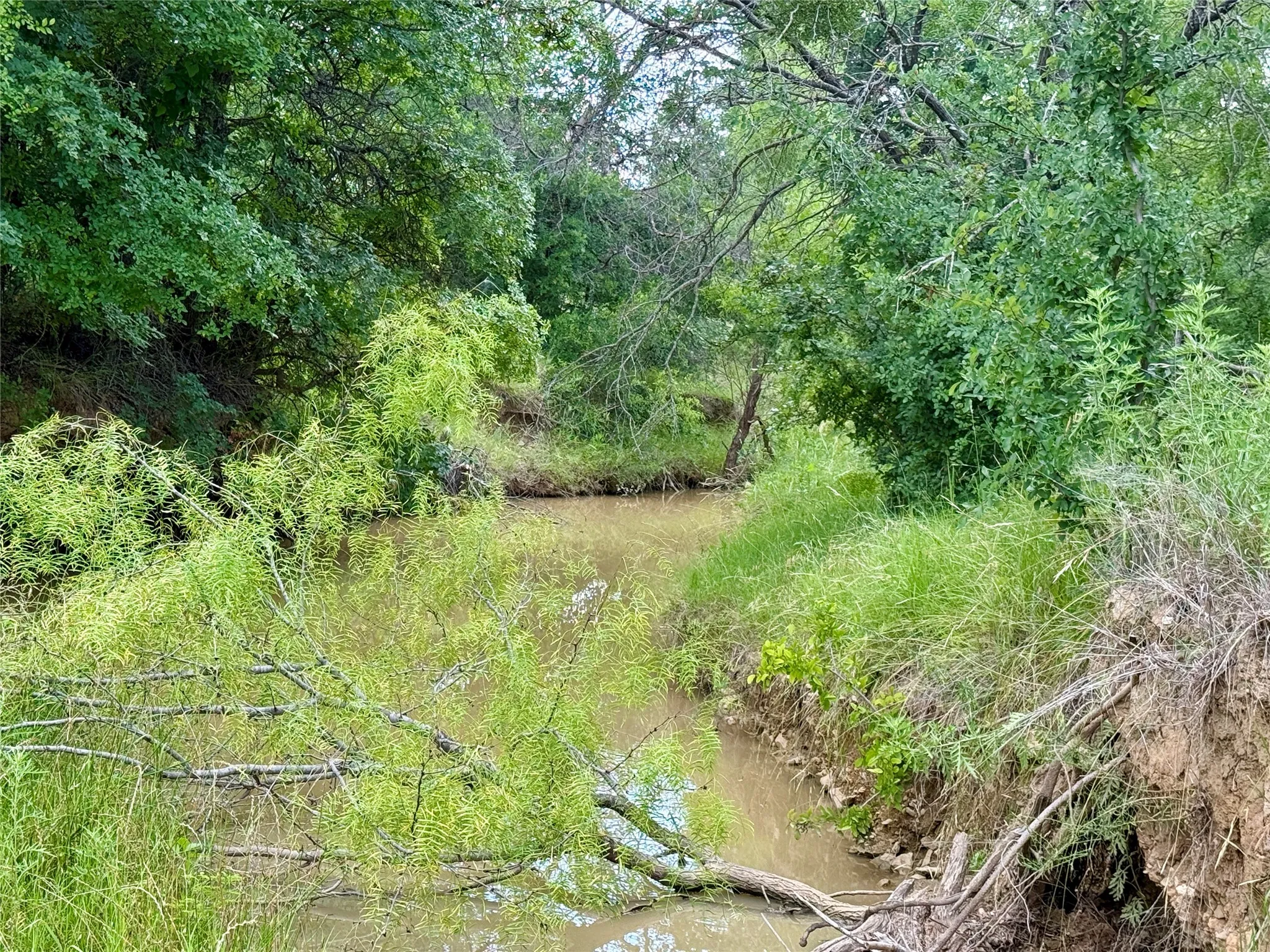 Unimproved Land For Sale in Brown County , 2840 County Road 404, Early, Texas 76802, 0, 0, Garage spaces, 0 Sqft, built in 0, mls#21294534, Real Estate Agent in Early, Homes For Sale in Brown county, Homes For Sale in Early, Realtor in Early Texas, Real Estate Brokerage Independent Realty Texas, Luminita Cordes Realtor