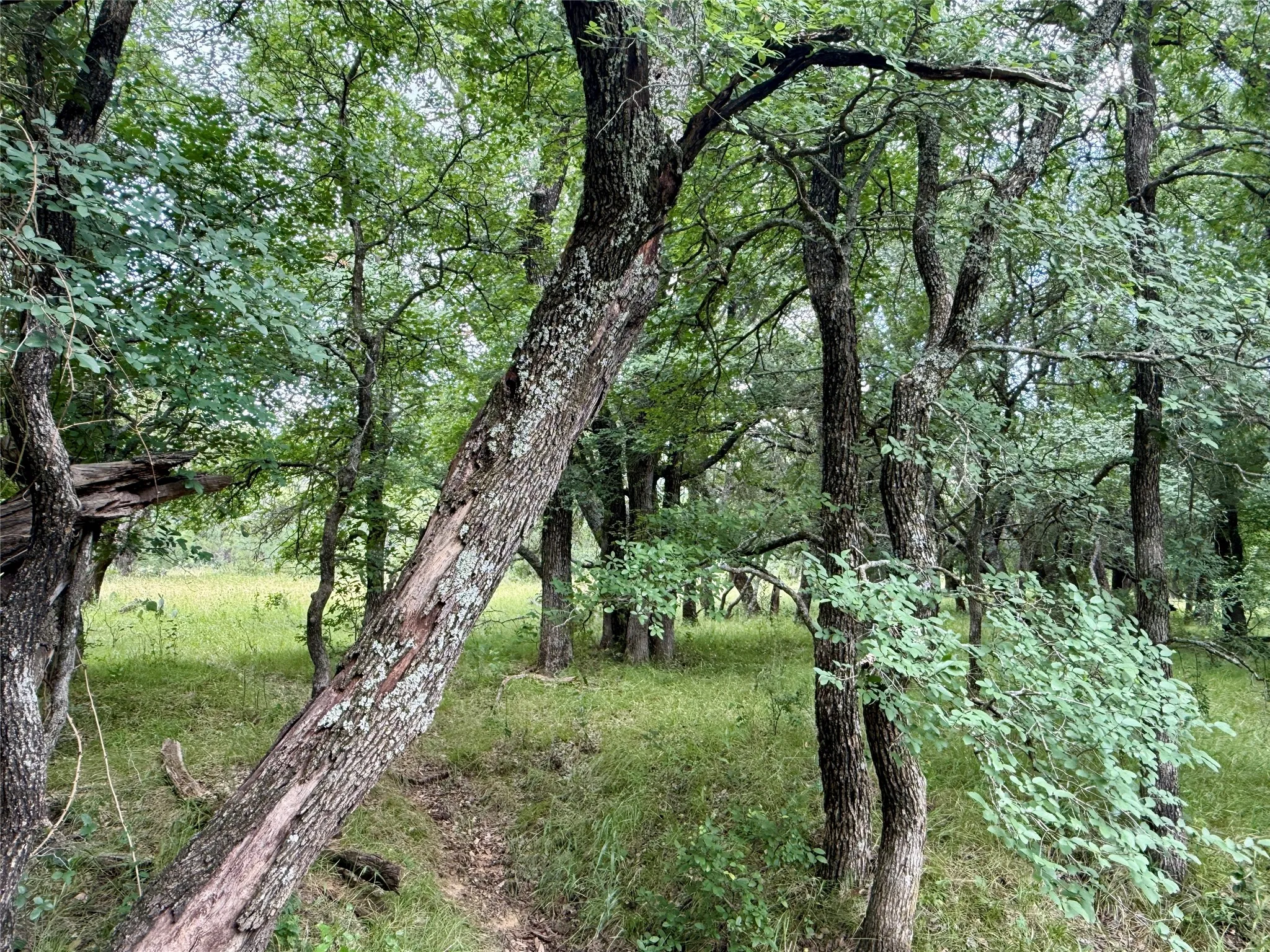 Unimproved Land For Sale in Brown County , 2840 County Road 404, Early, Texas 76802, 0, 0, Garage spaces, 0 Sqft, built in 0, mls#21294534, Real Estate Agent in Early, Homes For Sale in Brown county, Homes For Sale in Early, Realtor in Early Texas, Real Estate Brokerage Independent Realty Texas, Luminita Cordes Realtor