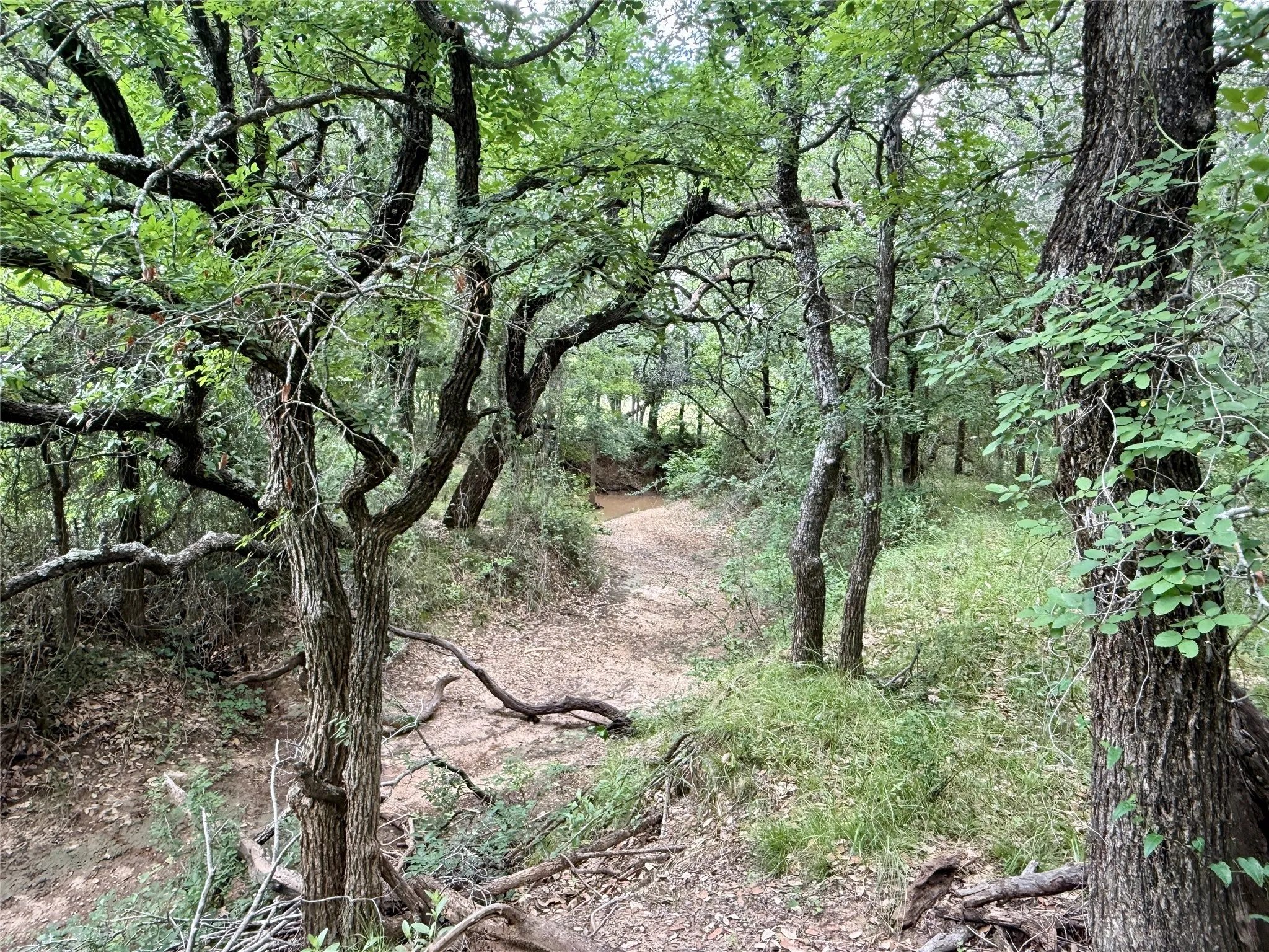 Unimproved Land For Sale in Brown County , 2840 County Road 404, Early, Texas 76802, 0, 0, Garage spaces, 0 Sqft, built in 0, mls#21294534, Real Estate Agent in Early, Homes For Sale in Brown county, Homes For Sale in Early, Realtor in Early Texas, Real Estate Brokerage Independent Realty Texas, Luminita Cordes Realtor