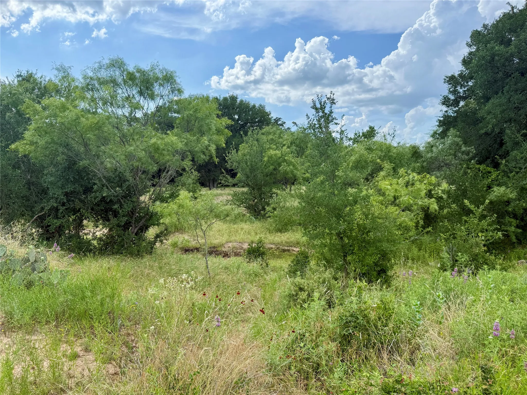Unimproved Land For Sale in Brown County , 2840 County Road 404, Early, Texas 76802, 0, 0, Garage spaces, 0 Sqft, built in 0, mls#21294534, Real Estate Agent in Early, Homes For Sale in Brown county, Homes For Sale in Early, Realtor in Early Texas, Real Estate Brokerage Independent Realty Texas, Luminita Cordes Realtor