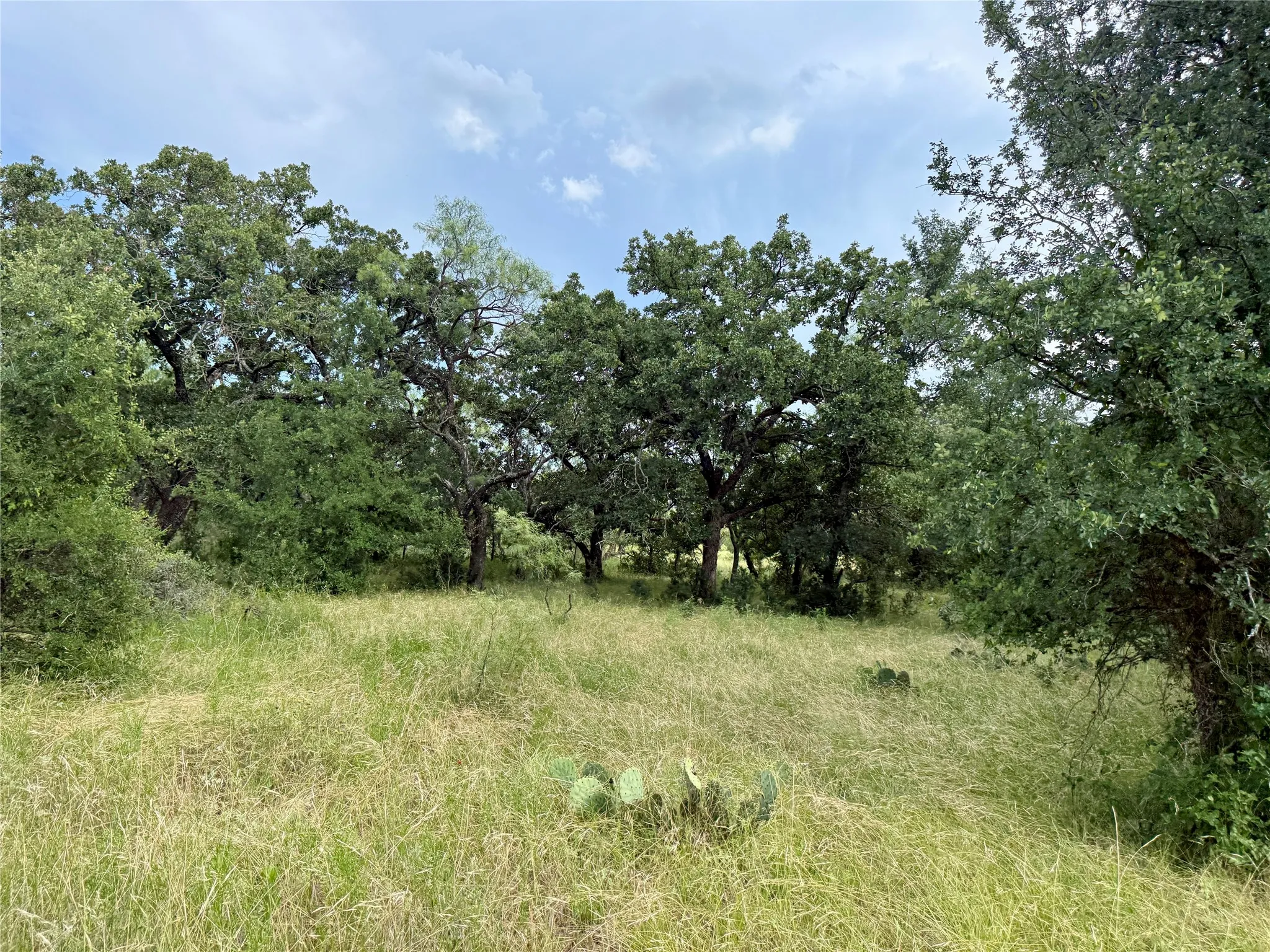 Unimproved Land For Sale in Brown County , 2840 County Road 404, Early, Texas 76802, 0, 0, Garage spaces, 0 Sqft, built in 0, mls#21294534, Real Estate Agent in Early, Homes For Sale in Brown county, Homes For Sale in Early, Realtor in Early Texas, Real Estate Brokerage Independent Realty Texas, Luminita Cordes Realtor