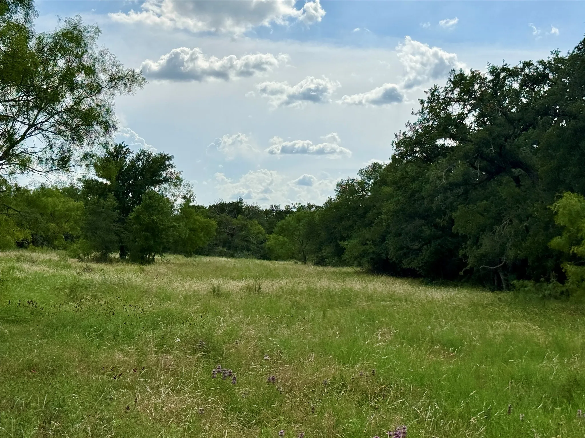 Unimproved Land For Sale in Brown County , 2840 County Road 404, Early, Texas 76802, 0, 0, Garage spaces, 0 Sqft, built in 0, mls#21294534, Real Estate Agent in Early, Homes For Sale in Brown county, Homes For Sale in Early, Realtor in Early Texas, Real Estate Brokerage Independent Realty Texas, Luminita Cordes Realtor