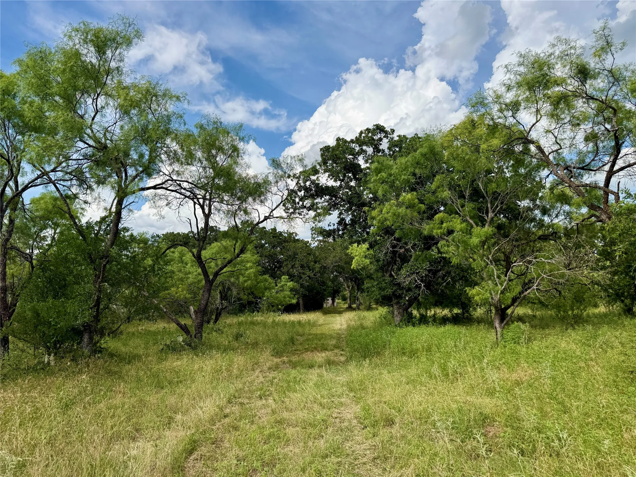 Unimproved Land For Sale in Brown County , 2840 County Road 404, Early, Texas 76802, 0, 0, Garage spaces, 0 Sqft, built in 0, mls#21294534, Real Estate Agent in Early, Homes For Sale in Brown county, Homes For Sale in Early, Realtor in Early Texas, Real Estate Brokerage Independent Realty Texas, Luminita Cordes Realtor