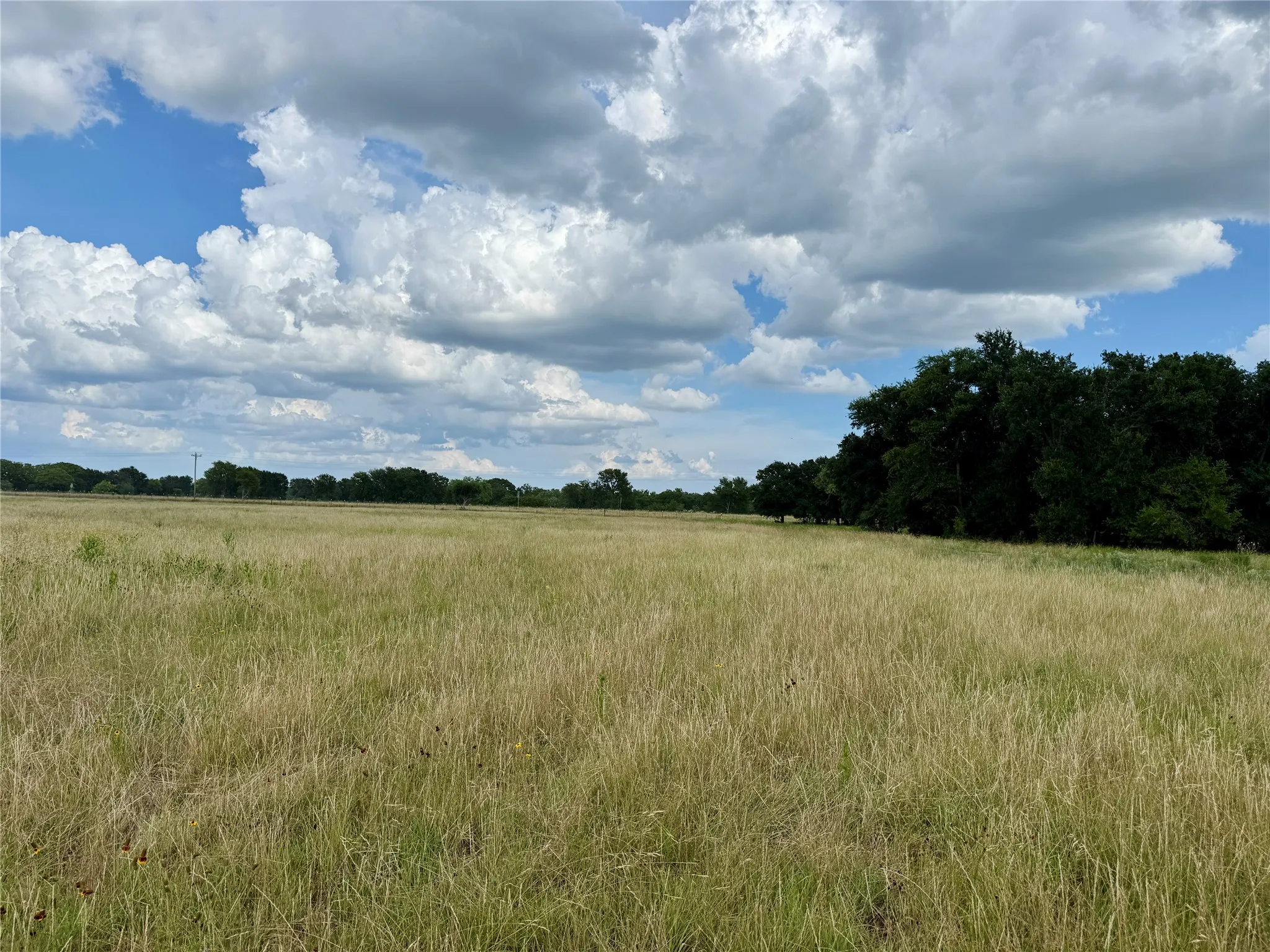 Unimproved Land For Sale in Brown County , 2840 County Road 404, Early, Texas 76802, 0, 0, Garage spaces, 0 Sqft, built in 0, mls#21294534, Real Estate Agent in Early, Homes For Sale in Brown county, Homes For Sale in Early, Realtor in Early Texas, Real Estate Brokerage Independent Realty Texas, Luminita Cordes Realtor