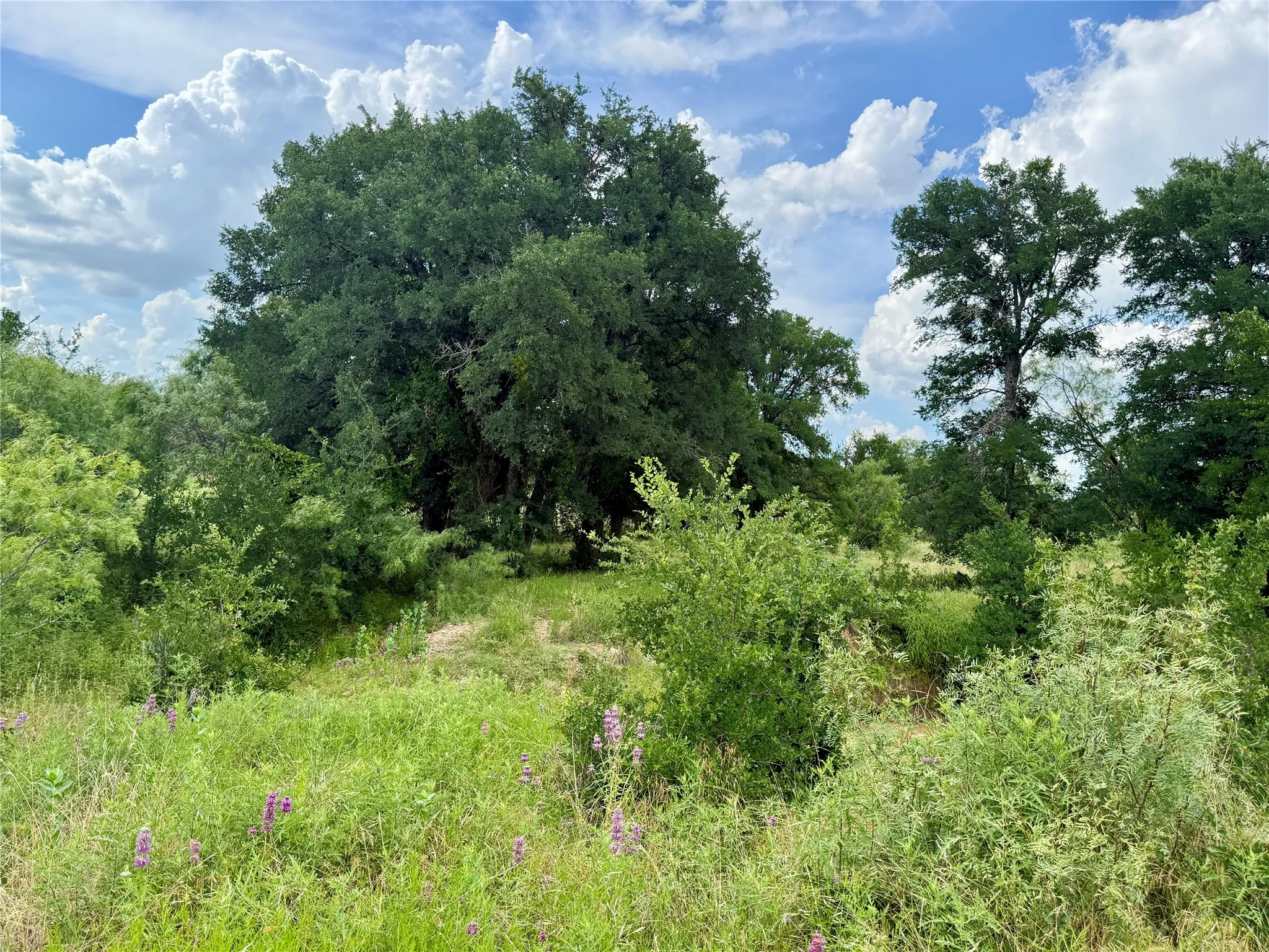 Unimproved Land For Sale in Brown County , 2840 County Road 404, Early, Texas 76802, 0, 0, Garage spaces, 0 Sqft, built in 0, mls#21294534, Real Estate Agent in Early, Homes For Sale in Brown county, Homes For Sale in Early, Realtor in Early Texas, Real Estate Brokerage Independent Realty Texas, Luminita Cordes Realtor
