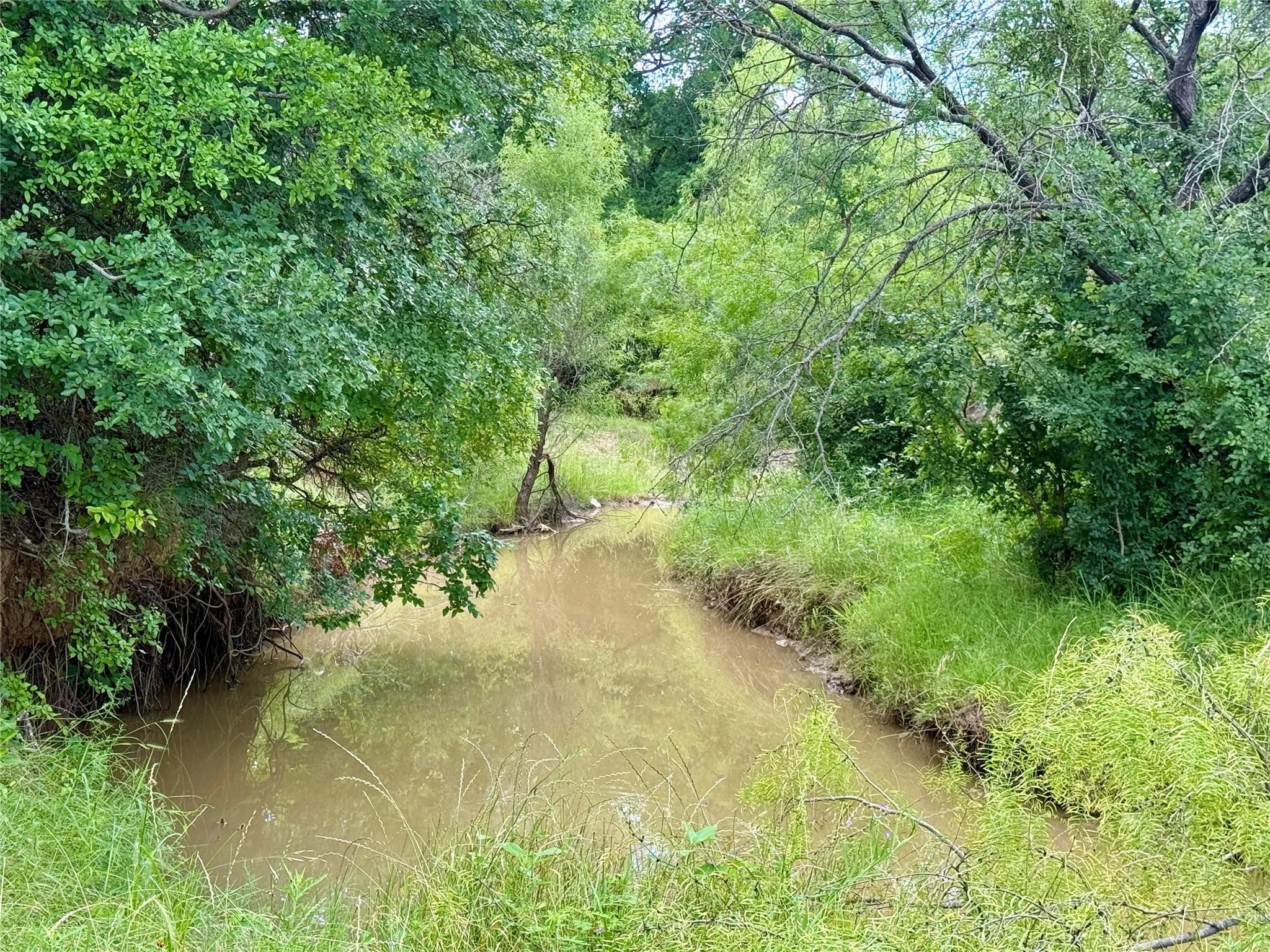 Unimproved Land For Sale in Brown County , 2840 County Road 404, Early, Texas 76802, 0, 0, Garage spaces, 0 Sqft, built in 0, mls#21294534, Real Estate Agent in Early, Homes For Sale in Brown county, Homes For Sale in Early, Realtor in Early Texas, Real Estate Brokerage Independent Realty Texas, Luminita Cordes Realtor