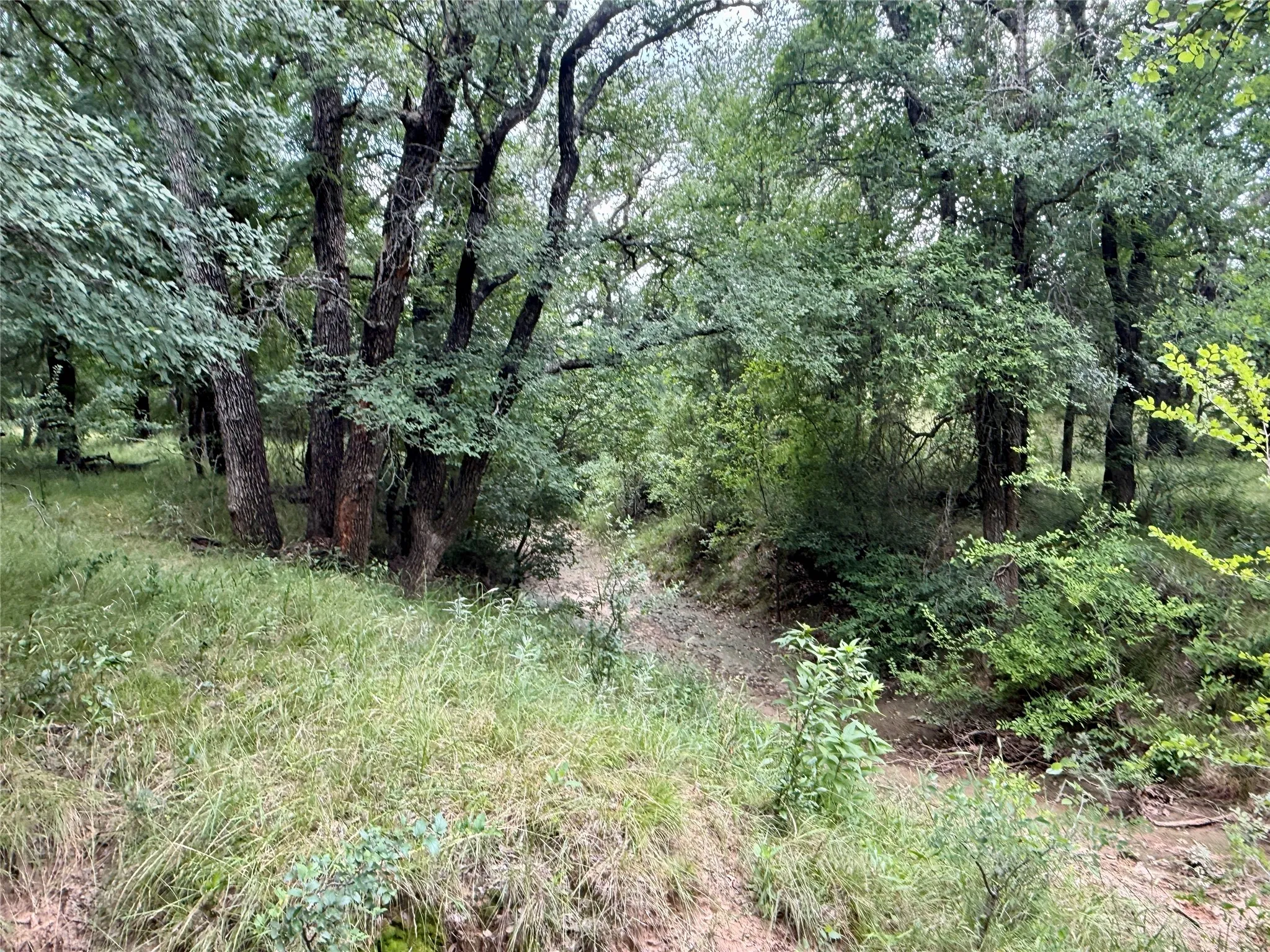 Unimproved Land For Sale in Brown County , 2840 County Road 404, Early, Texas 76802, 0, 0, Garage spaces, 0 Sqft, built in 0, mls#21294534, Real Estate Agent in Early, Homes For Sale in Brown county, Homes For Sale in Early, Realtor in Early Texas, Real Estate Brokerage Independent Realty Texas, Luminita Cordes Realtor