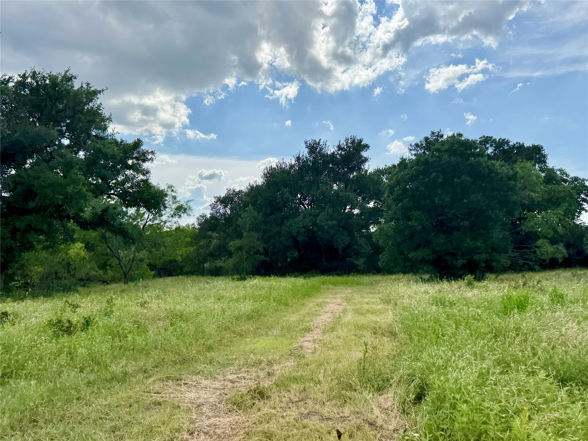 Unimproved Land For Sale in Brown County , 2840 County Road 404, Early, Texas 76802, 0, 0, Garage spaces, 0 Sqft, built in 0, mls#21294534, Real Estate Agent in Early, Homes For Sale in Brown county, Homes For Sale in Early, Realtor in Early Texas, Real Estate Brokerage Independent Realty Texas, Luminita Cordes Realtor